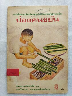 ป๋องคนขยัน