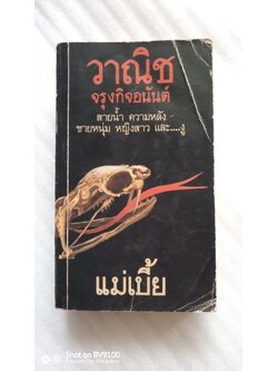 แม่เบี้ย / วานิช จรุงกิจอนันต์