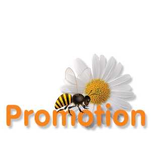 โปรโมชั่น