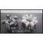 Spidex Coupling MAT GG25,Aluminum