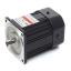 EXCEM 60W E9R60PXH (Reversible motor)