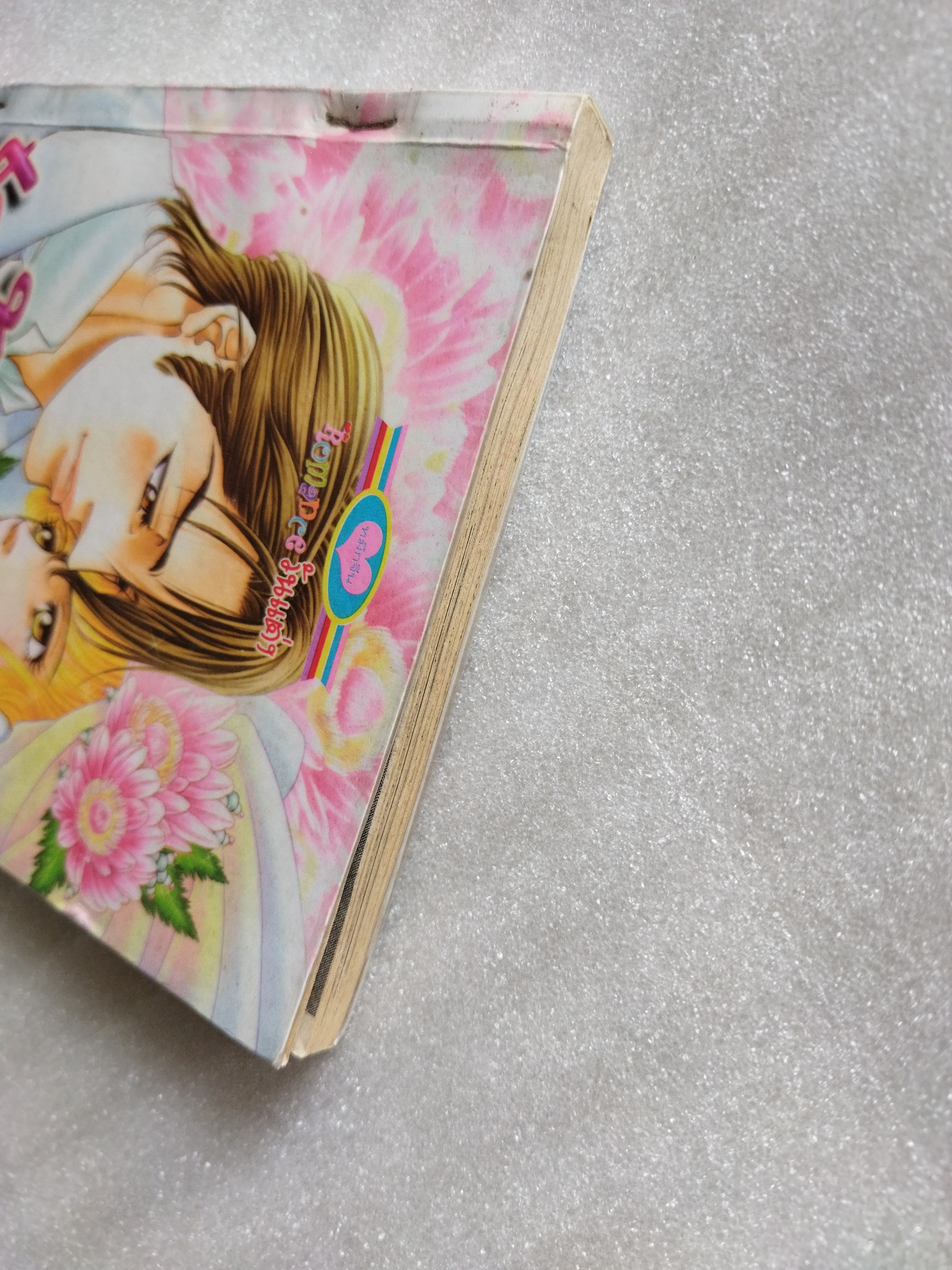 เจ้าสาวผู้โดดเดี่ยว