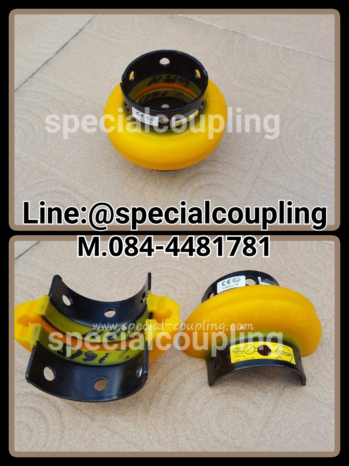 Rex Viva Coupling
