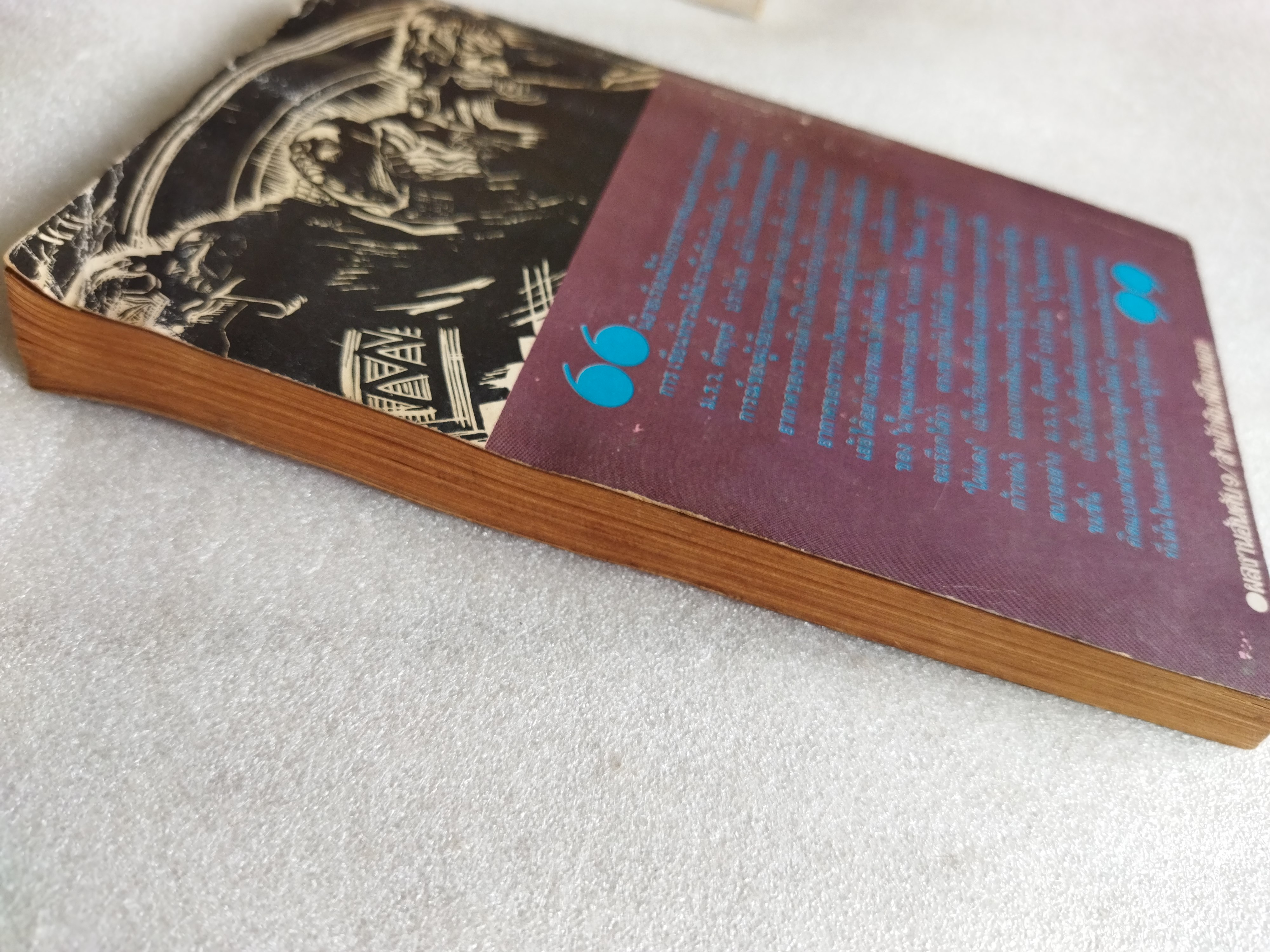 น้ำพุแห่งความขมขื่น / อิกนาซิโอ ซิโลเน่