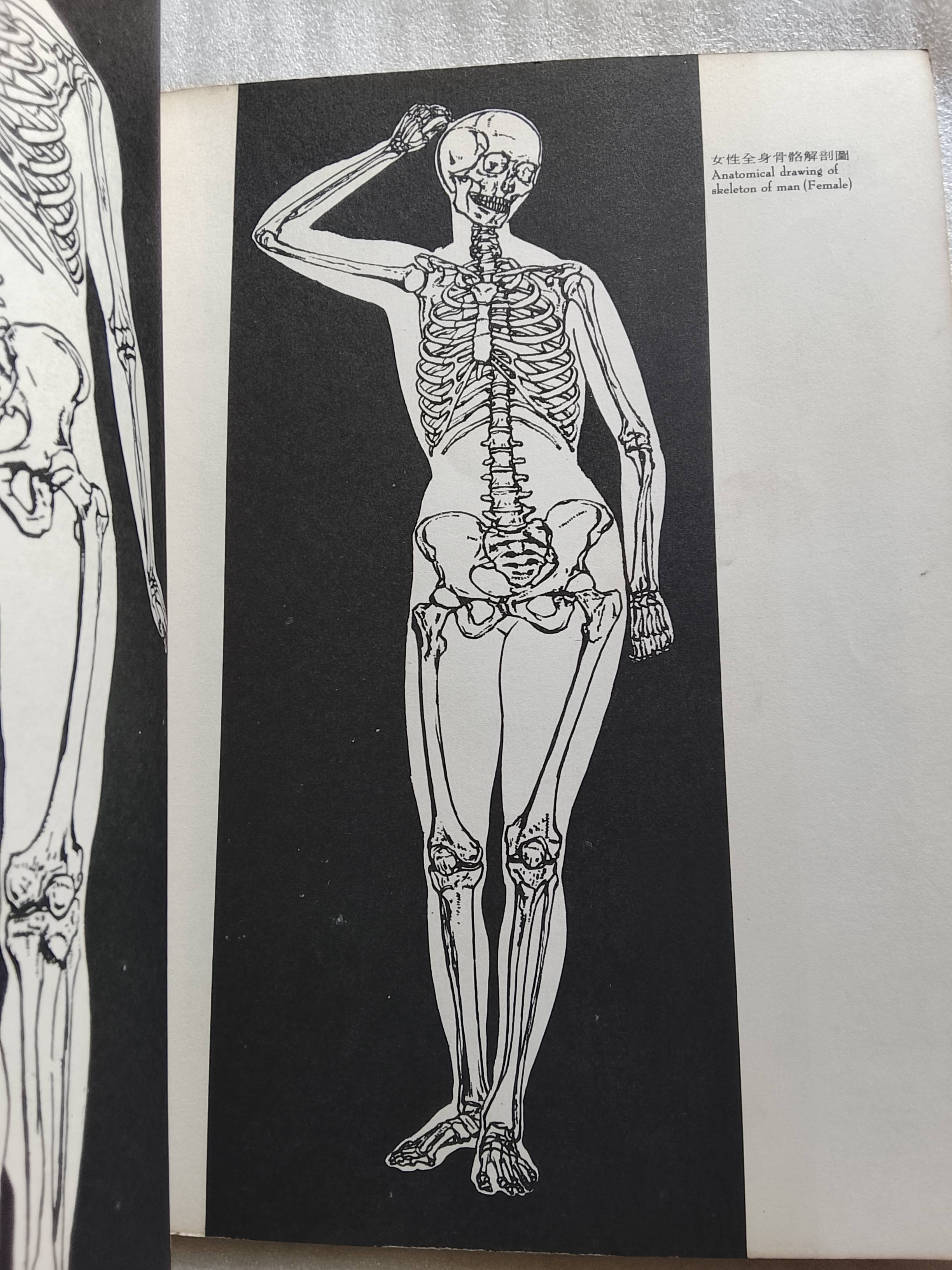 หนังสือภาพวาด