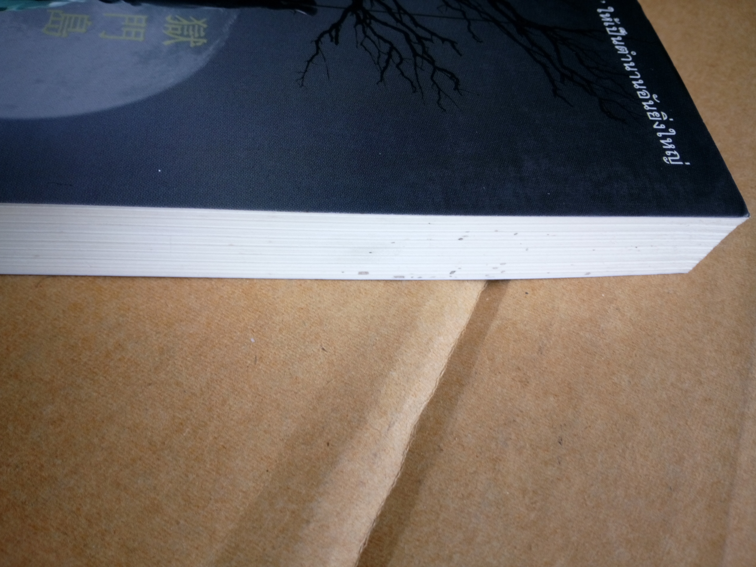 คินดะอิจิ ตอนที่ 5 คดีฆาตกรรมบนเกาะโกะกุมน