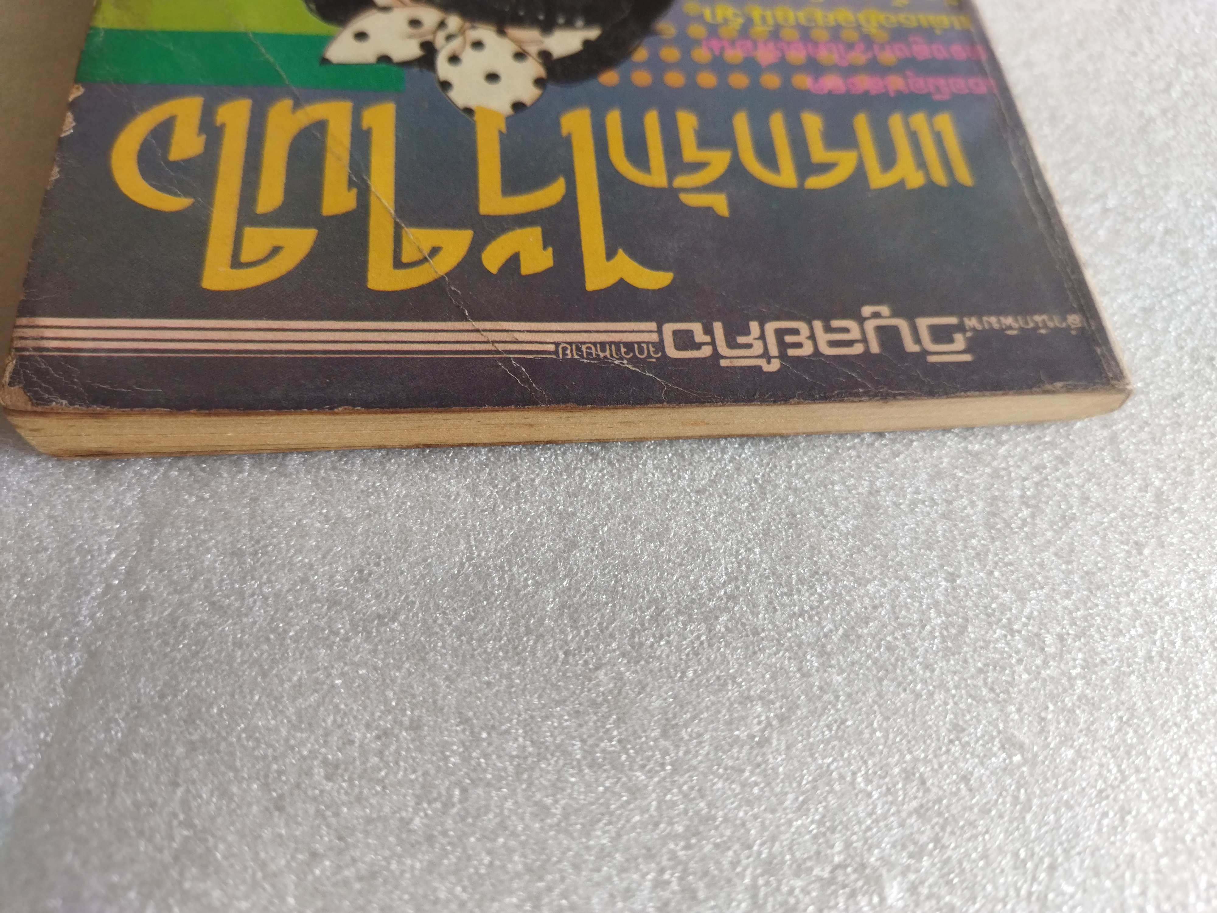 แทรกรักไว้ในใจ