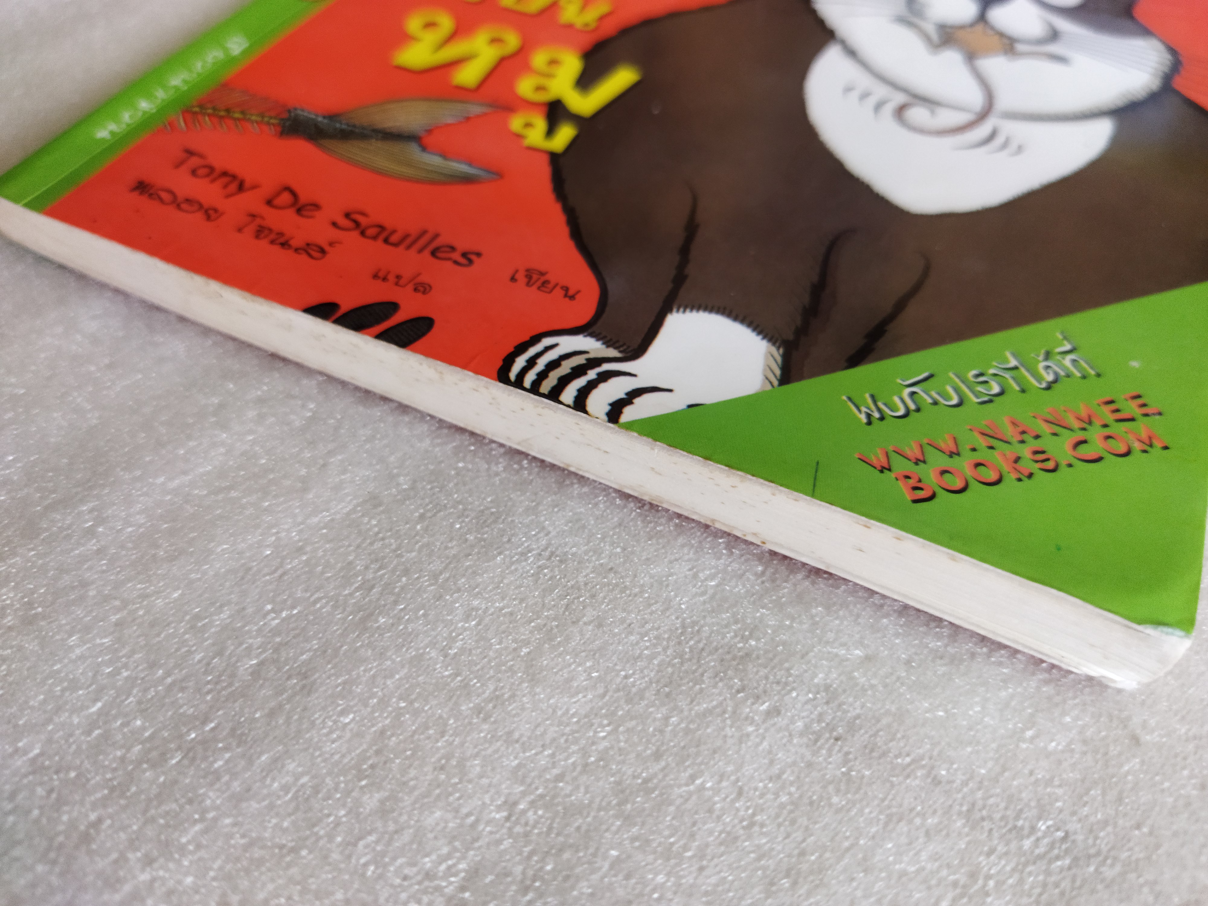 ทำไงดี! แมวของฉันกลายเป็นหมู