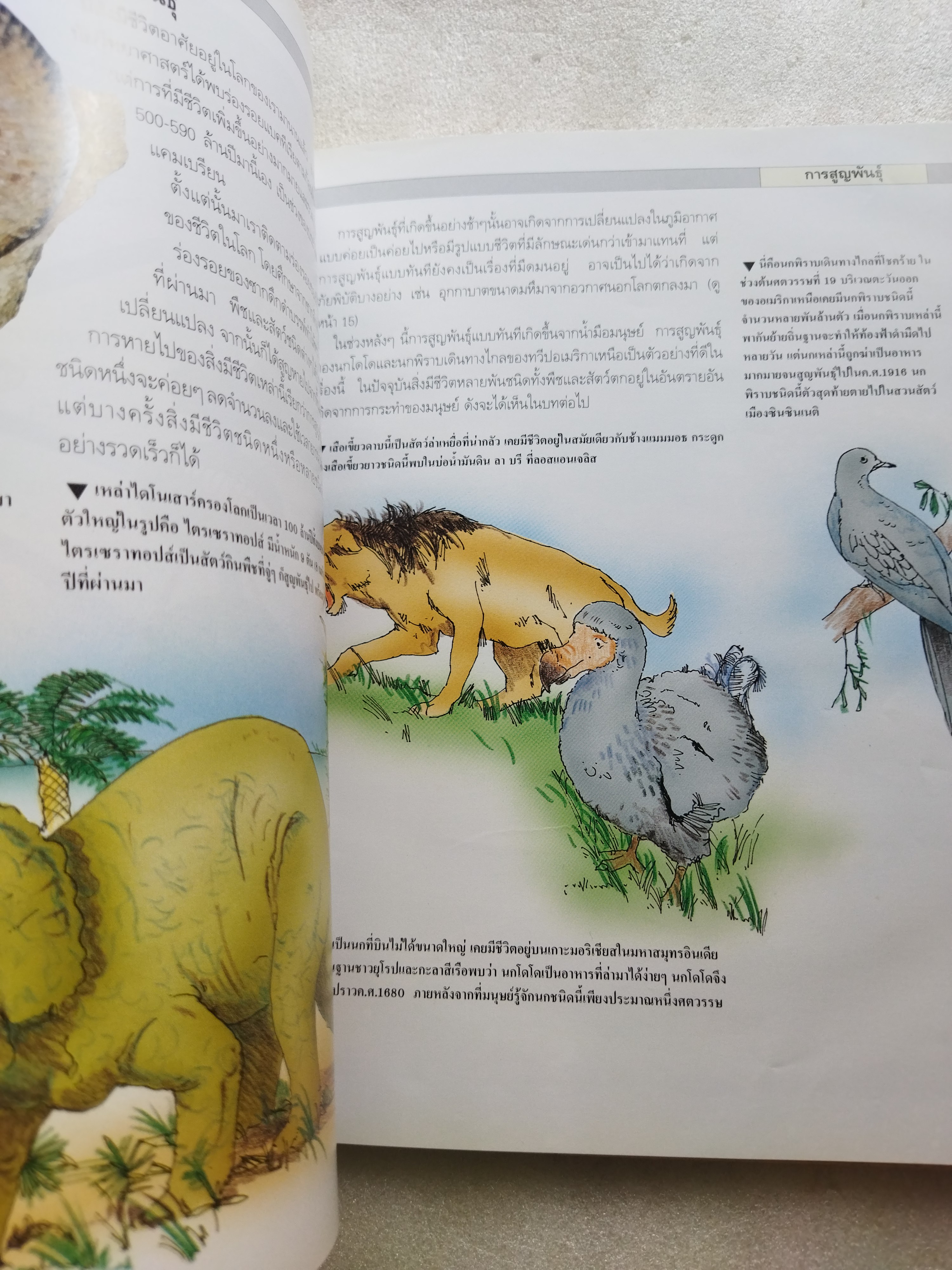 ไทมส์ สำรวจโลกวิทยาศาสตร์ สิ่งแวดล้อม