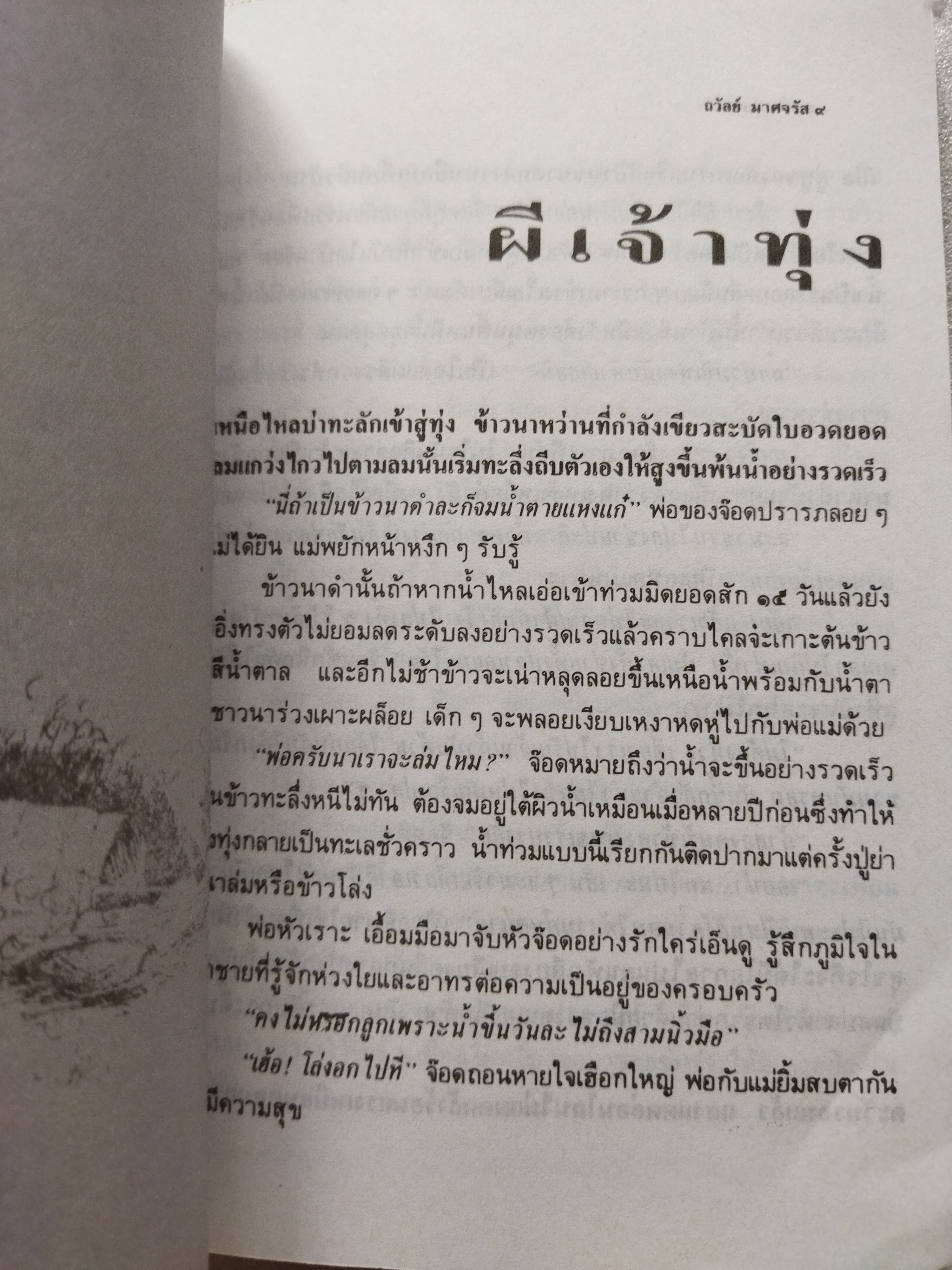 ในทุ่งกว้าง / ถวัลย์ มาศจรัส