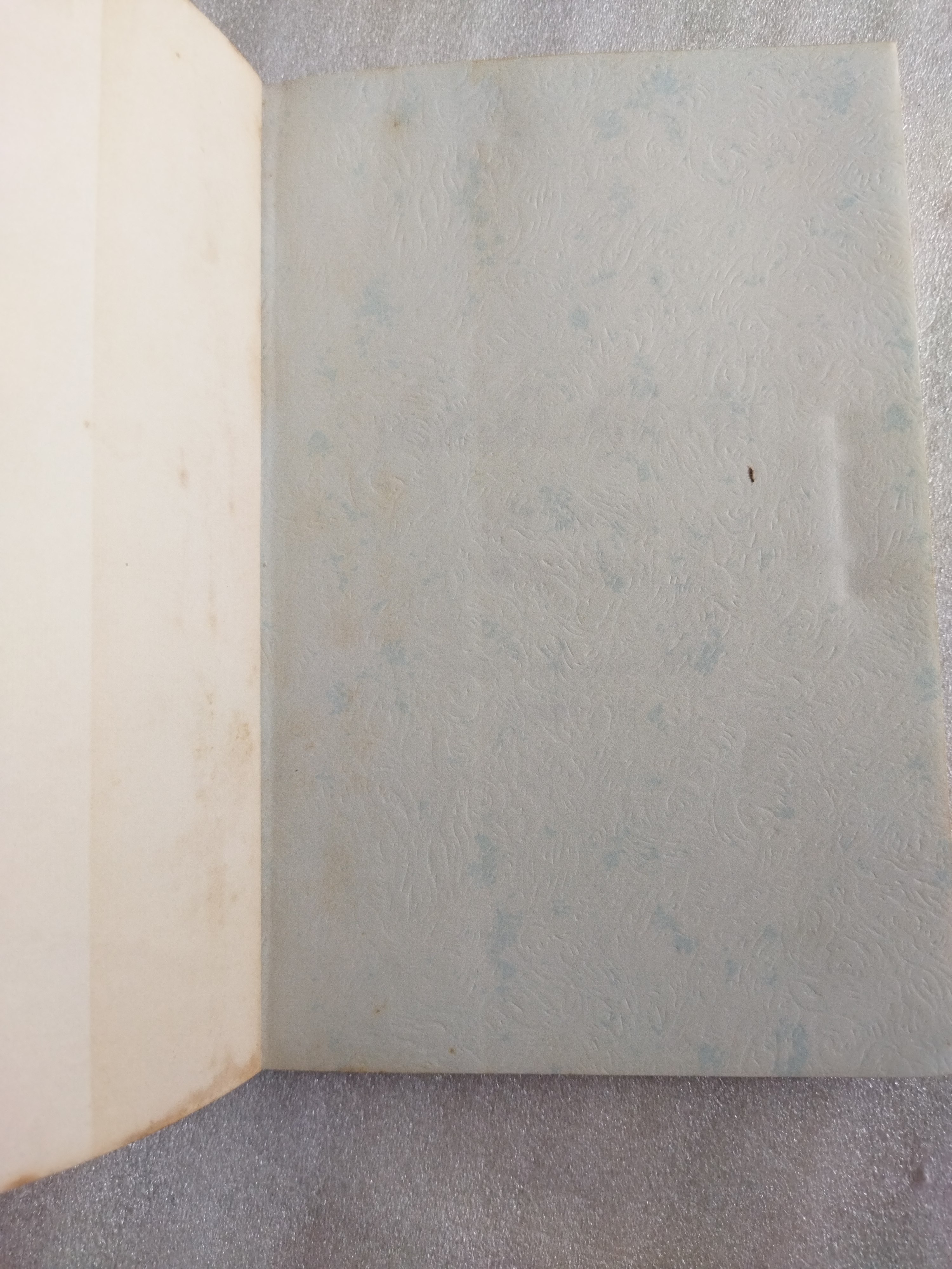 เพื่อนผีผู้น่ารัก MY FRIEND WALTER / ไมเคิล มอร์เพอร์โก