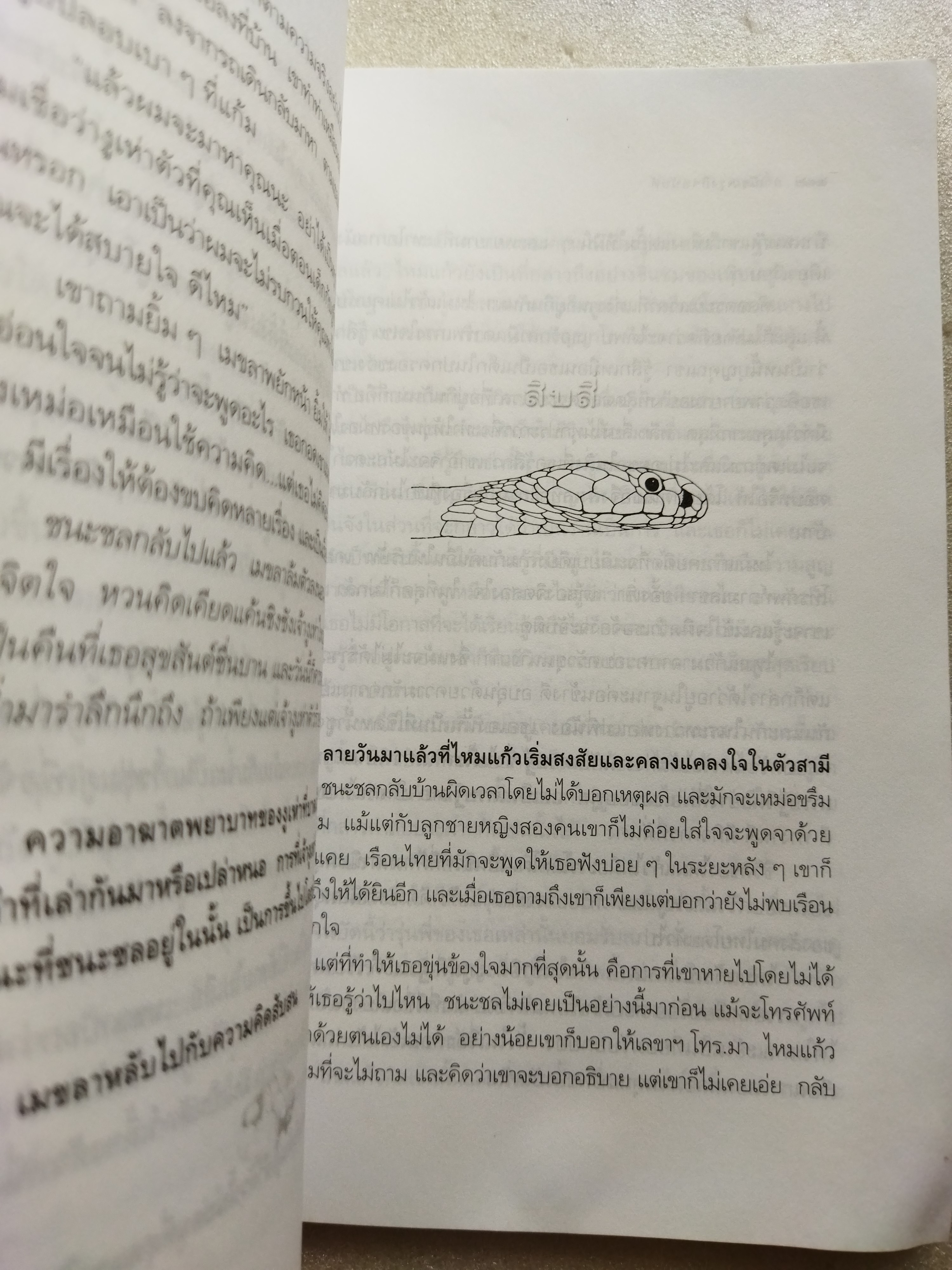 แม่เบี้ย /วาณิช จรุงกิจอนันต์