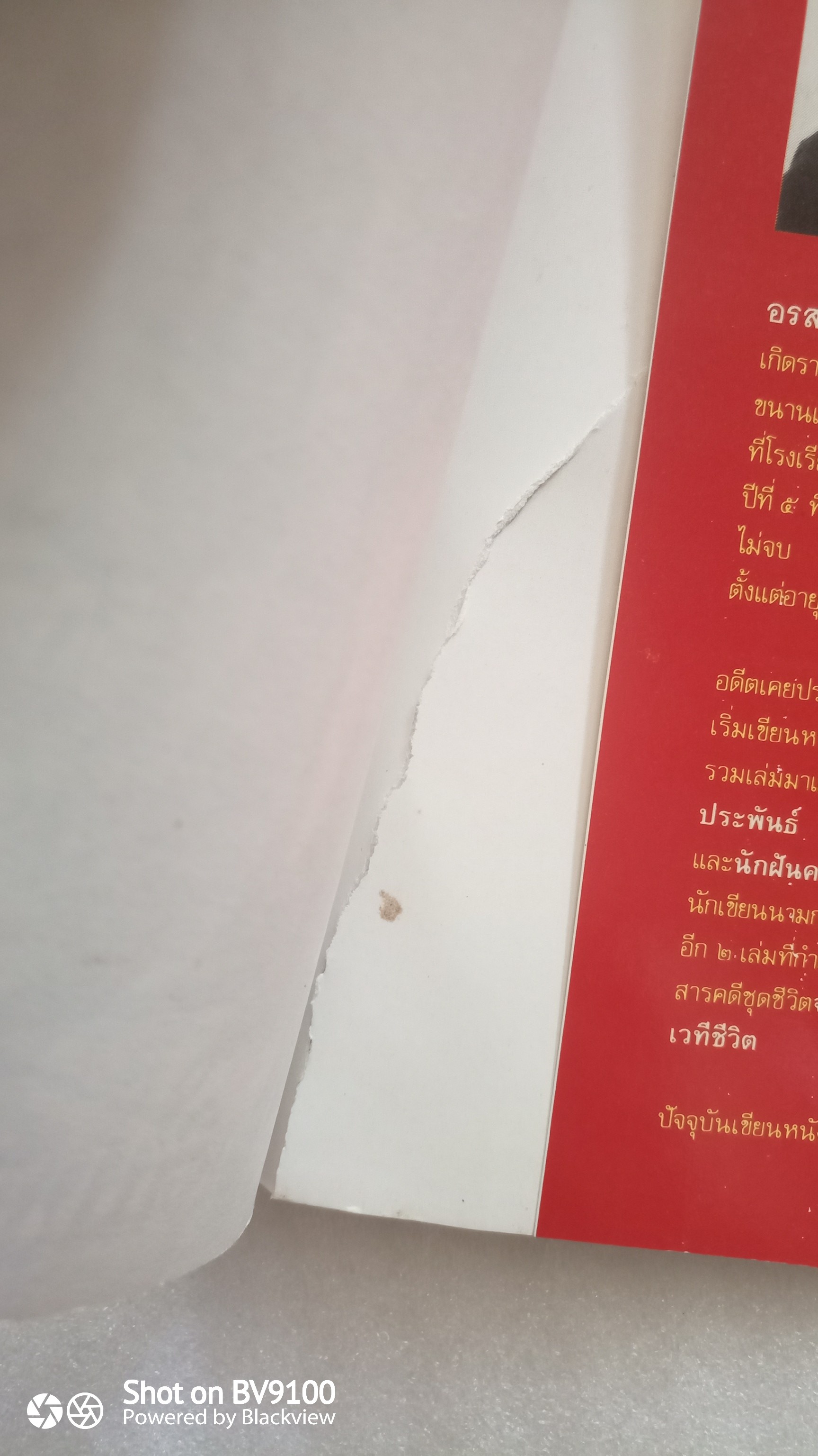 ชีวิตรักนวลฉวี / อรสม สุทธิสาคร *ตำหนิ