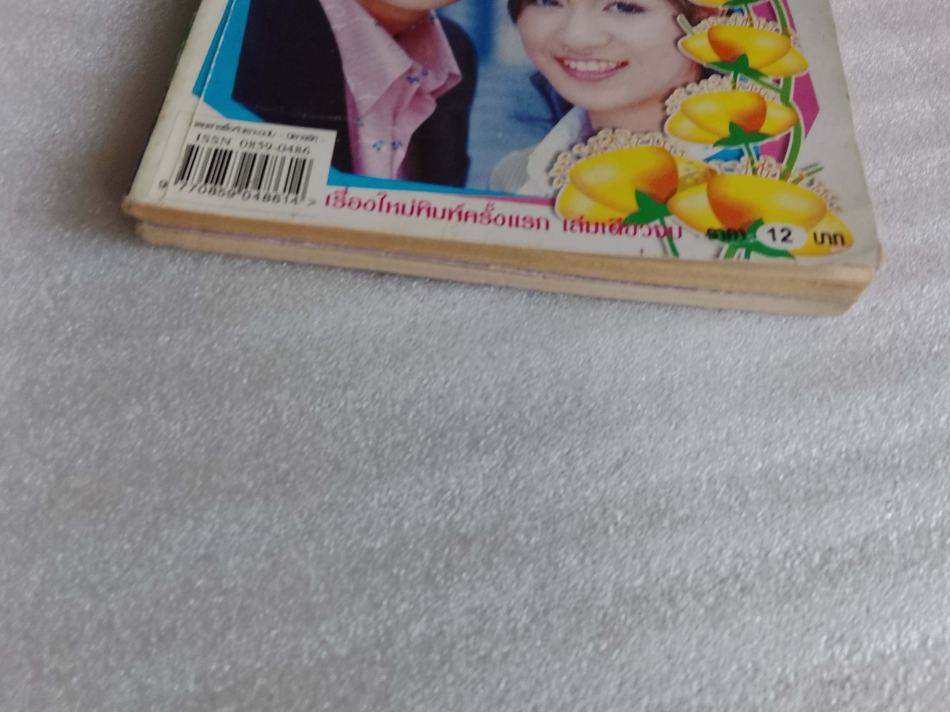 บ้านดอกรัก + รักบังใบ