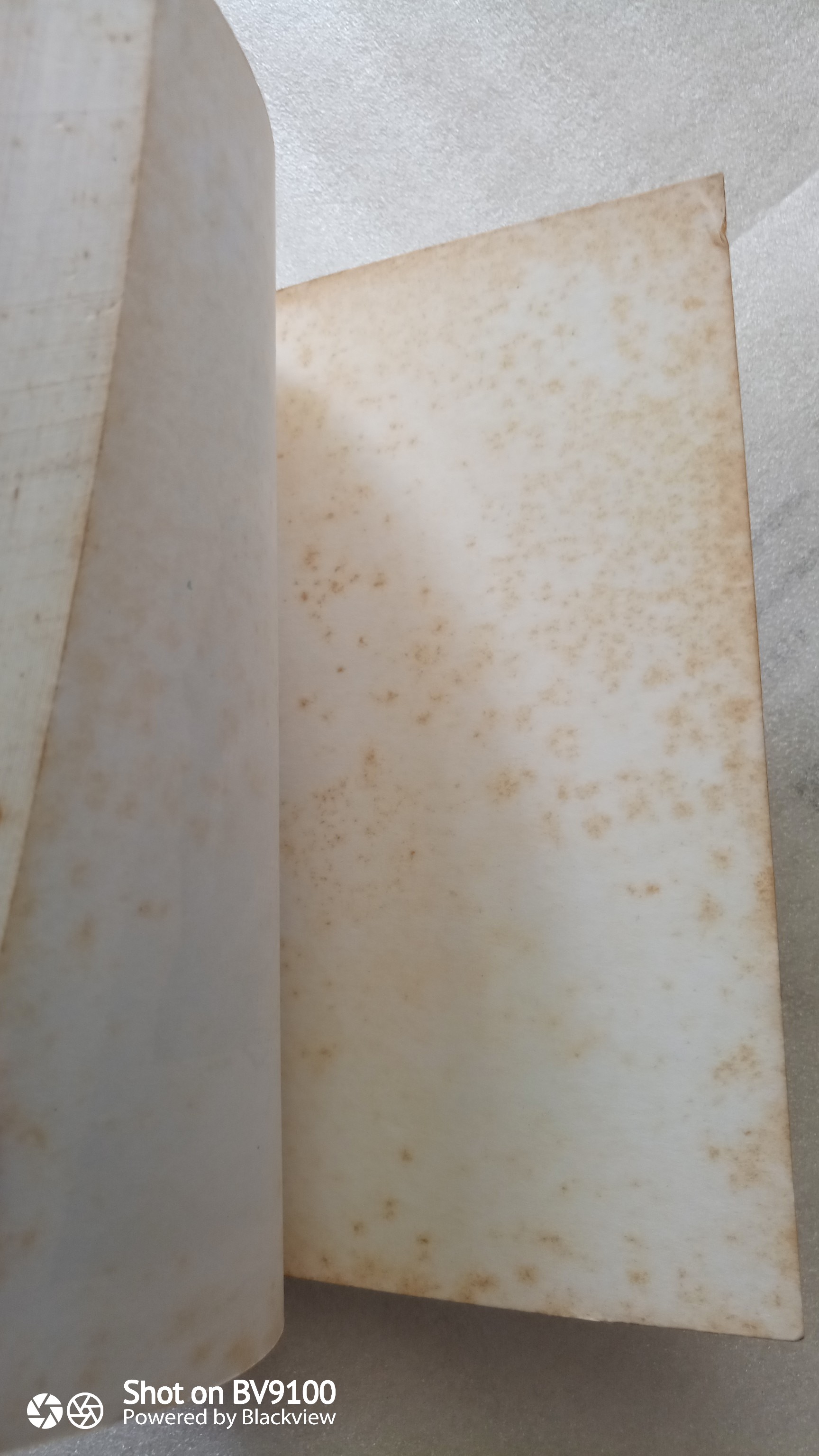 รอวันนั้น / จูดี้ บลูม