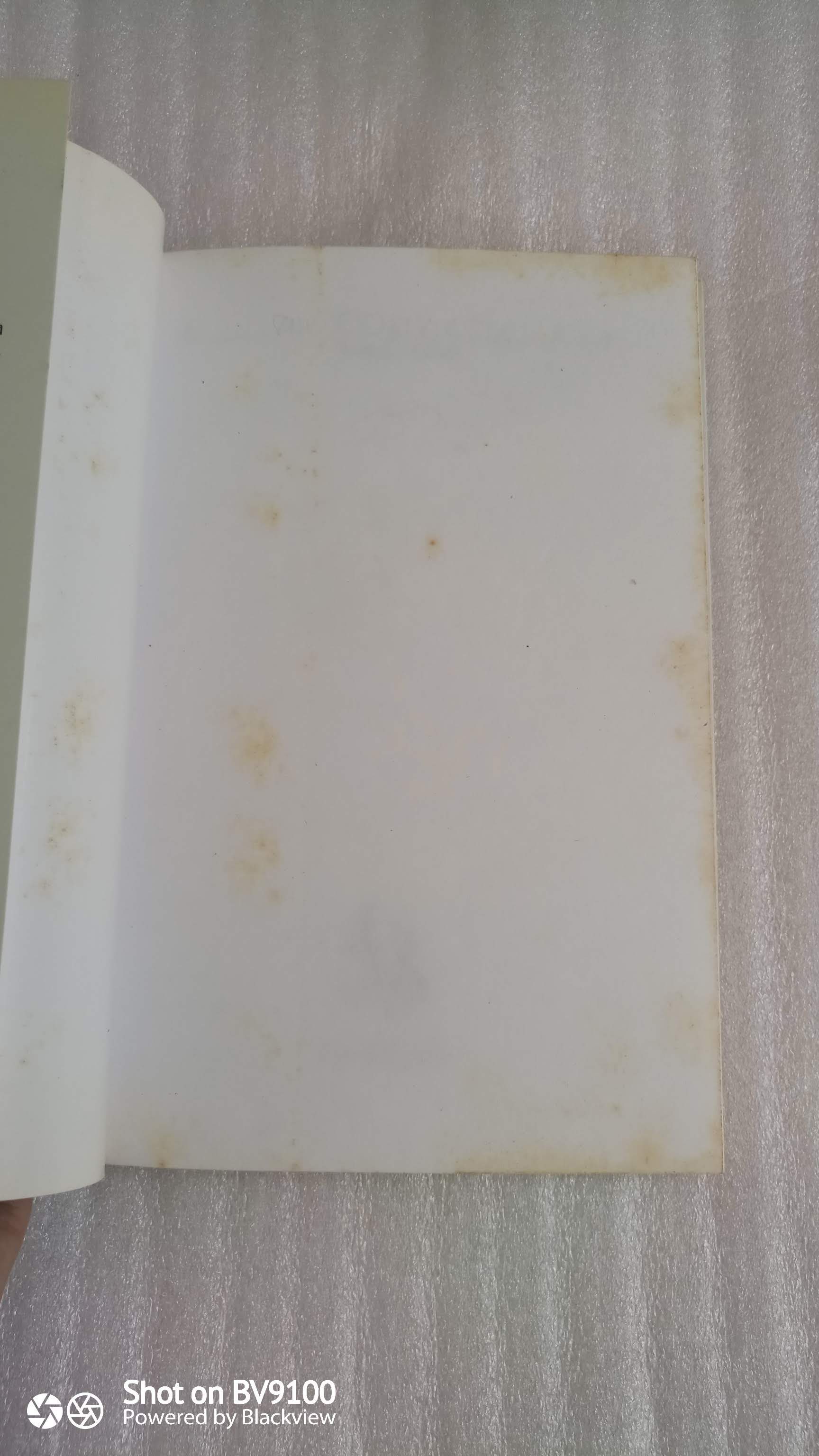 ม้าก้านกล้วย / ไพวรินทร์ ขาวงาม