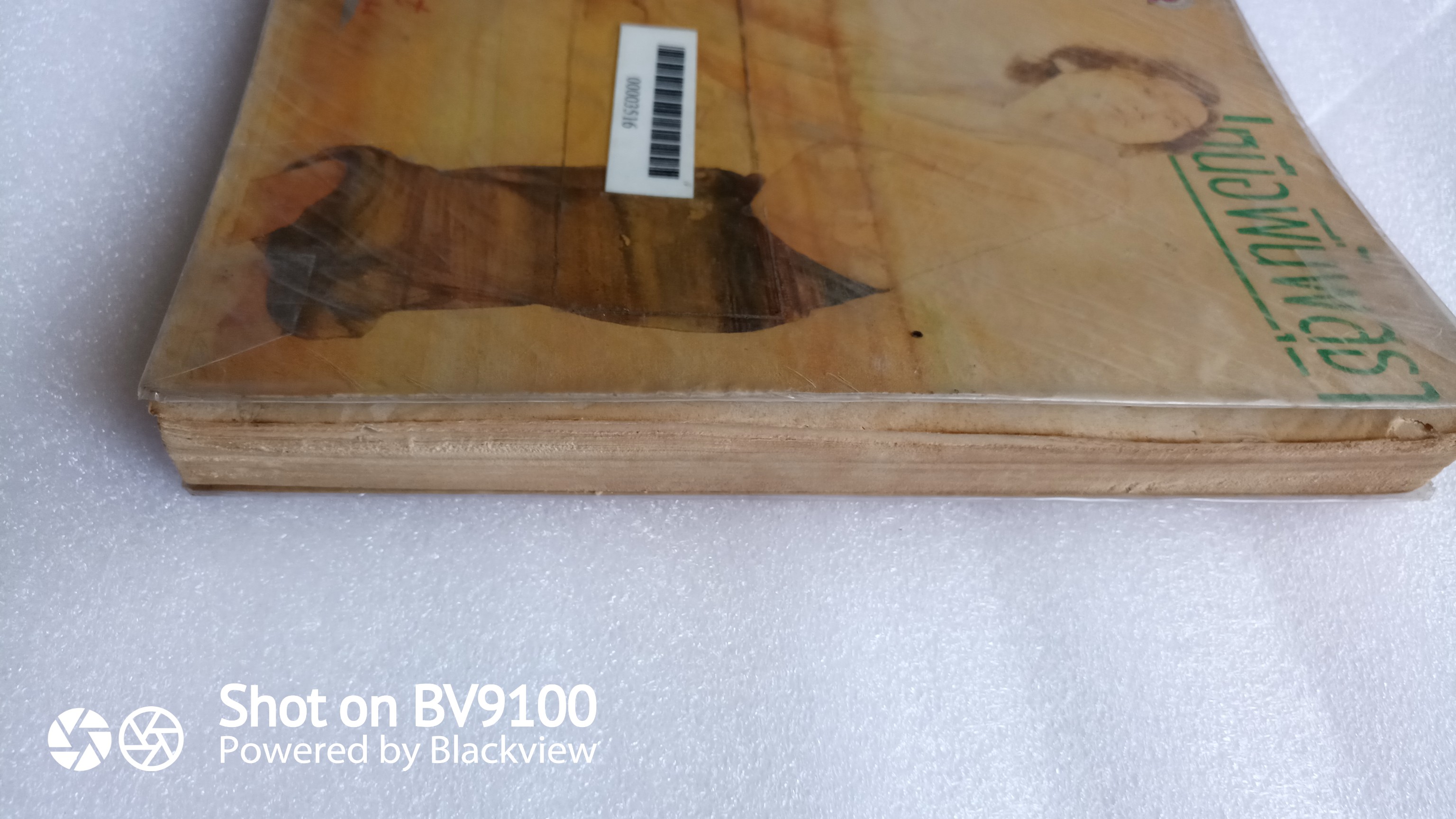 เหนือพื้นพสุธา *ตำหนิ / โบตั๋น