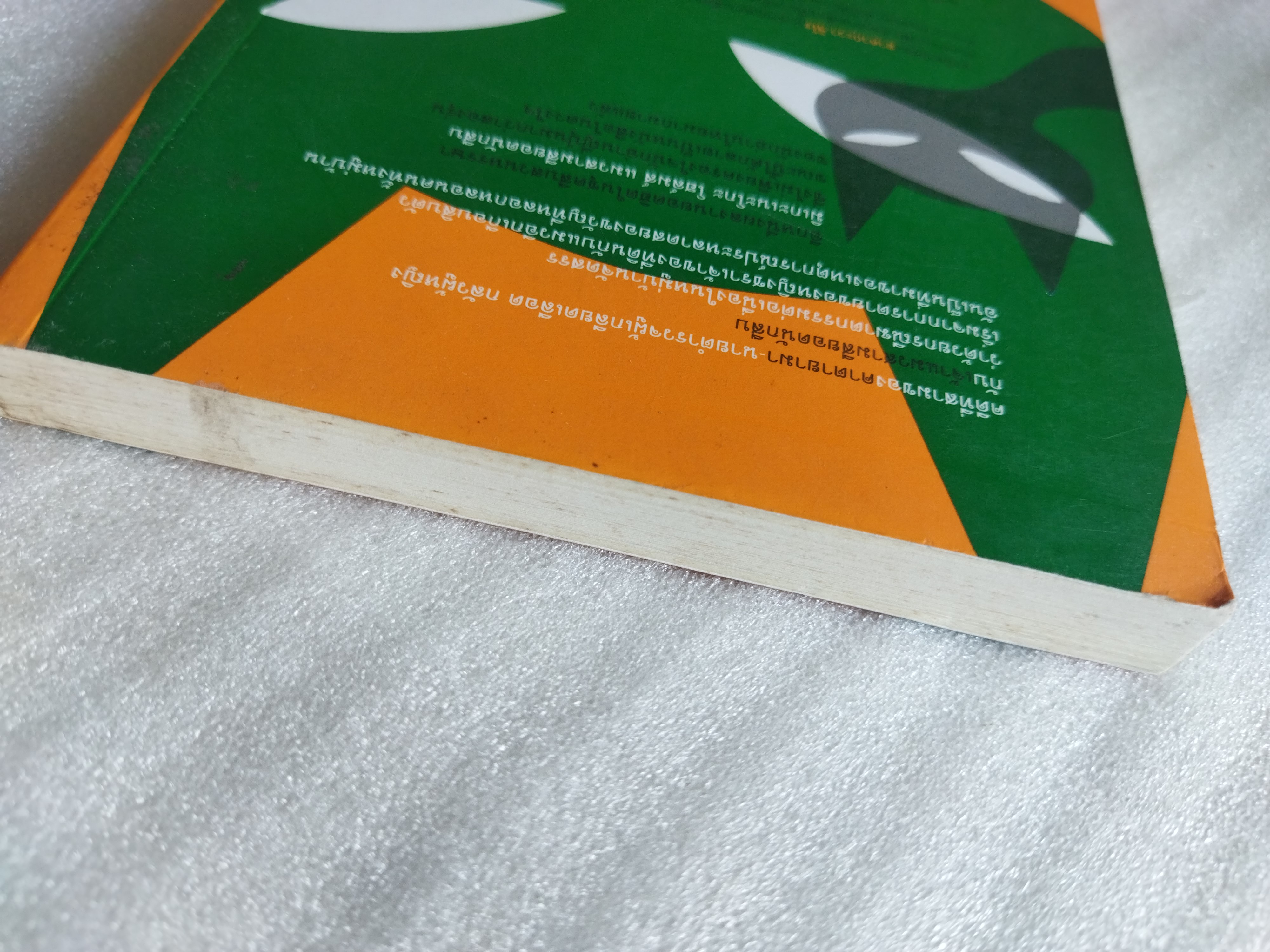 แมวสามสียอดนักสืบ ตอน หมู่บ้านแมวผี / อาคากะวา จิโร