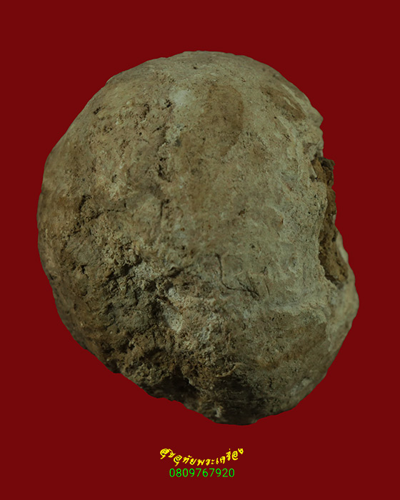 421.ลูกอมเนื้อผงพุทธคุณ เนื้อจัดแห้งยุคเก่า ขนาดจำโบ้ เข้มขลังคลาสสิกน่าบูชาครับ