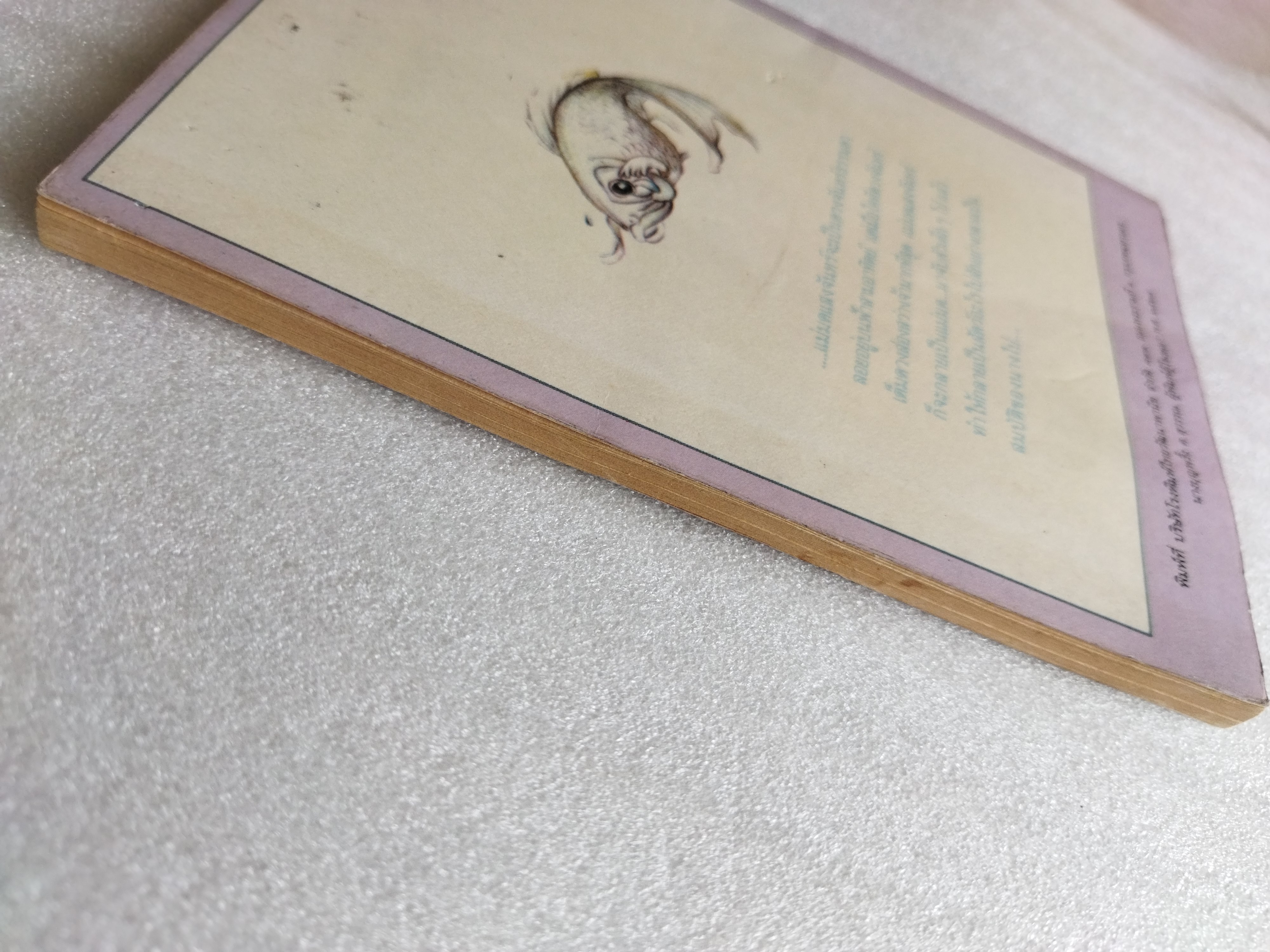 แม่มดแสงจันทร์