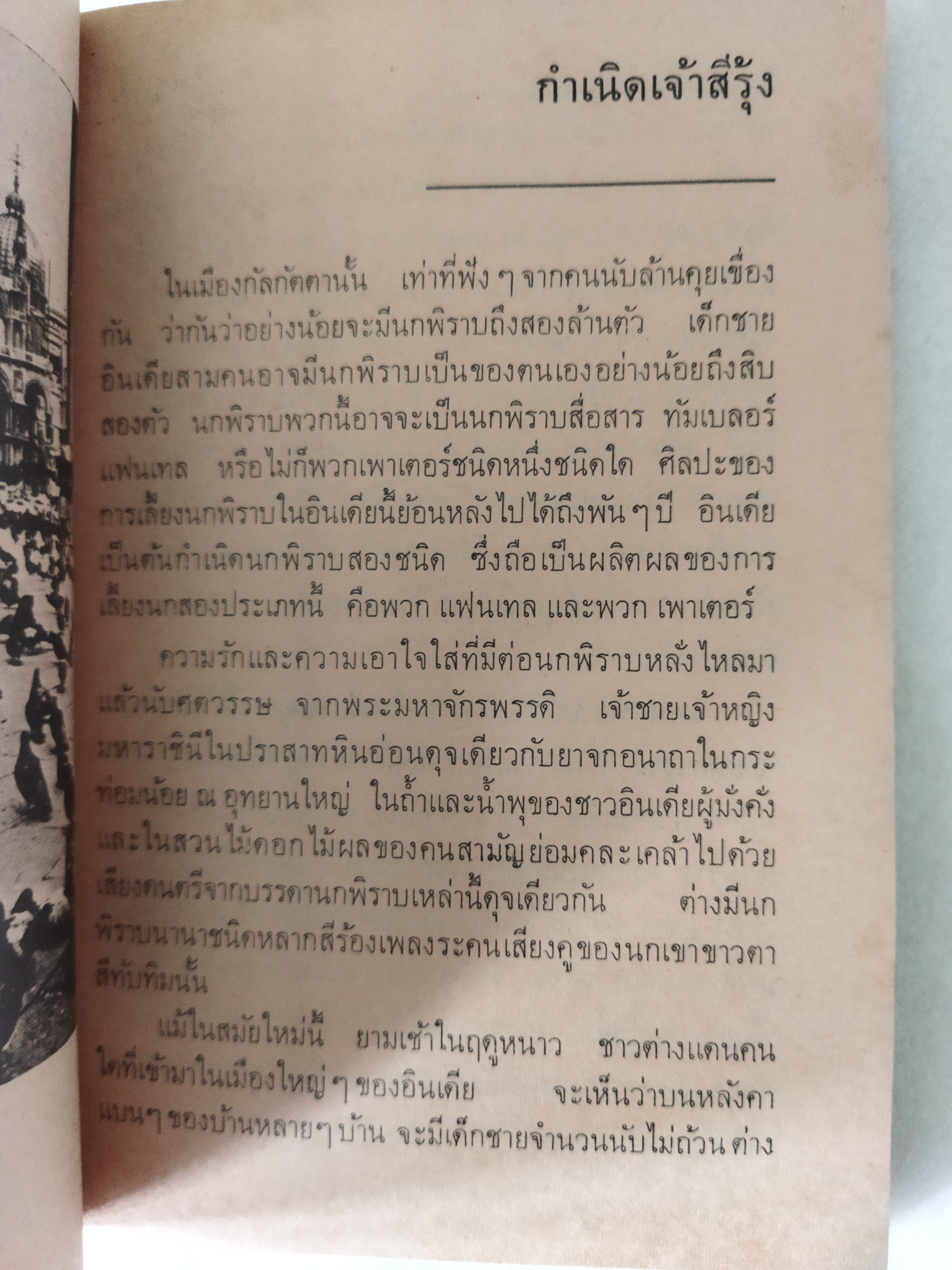 เจ้าสีรุ้ง / จันโกปาล มูเกอจี