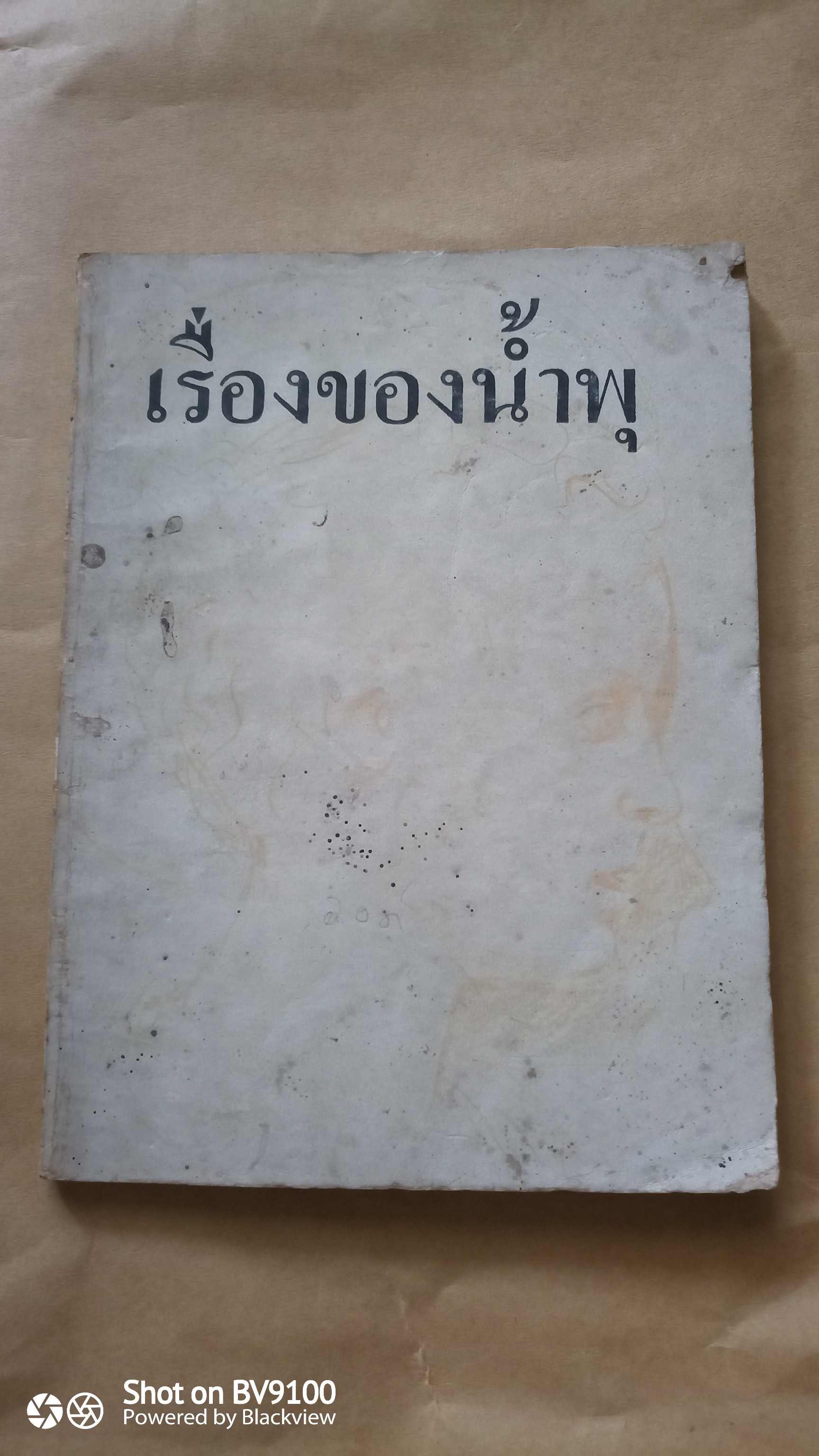 เรื่องของน้ำพุ / สุวรรณี สุคนธา