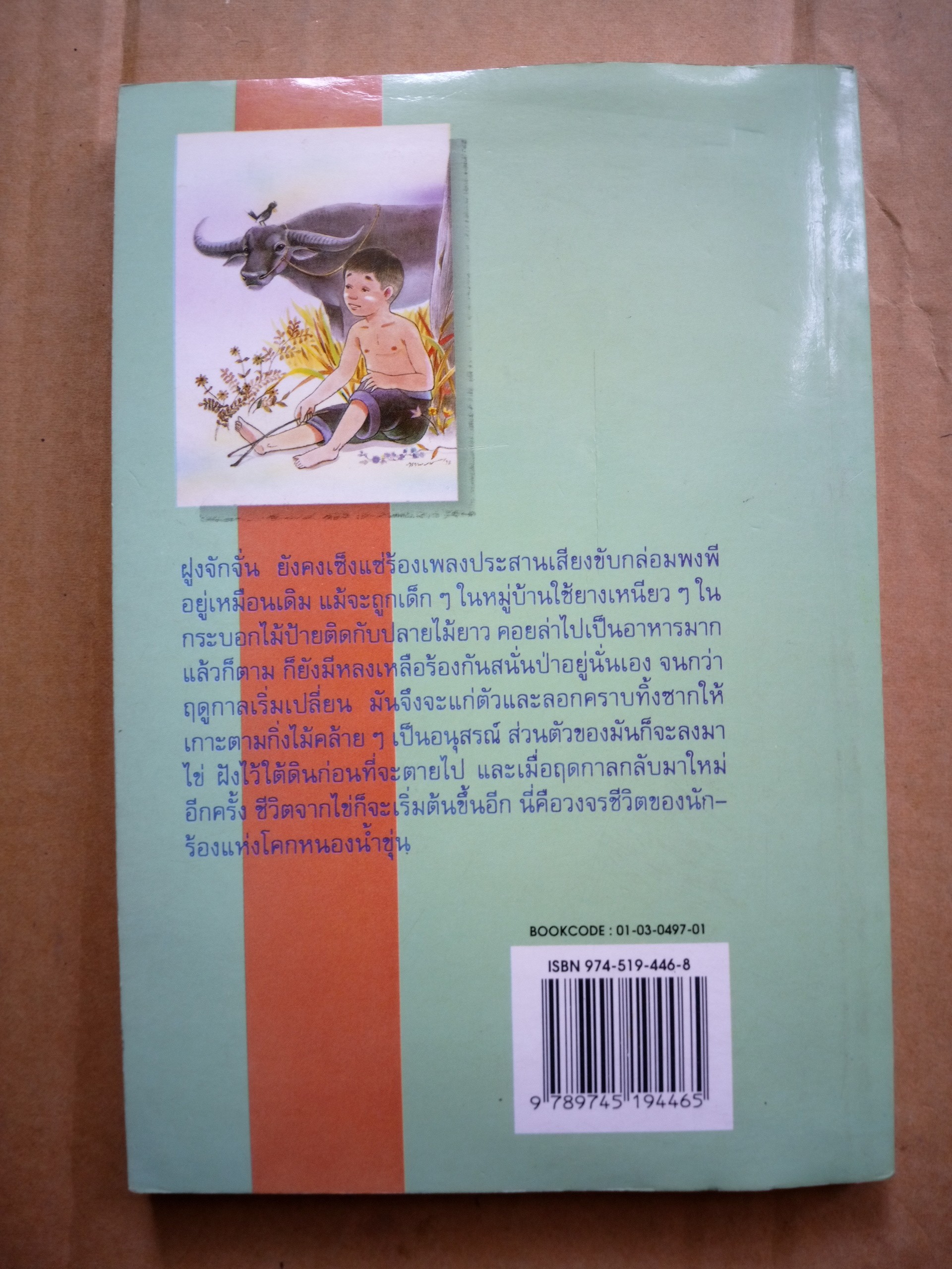 เกิดที่หมู่บ้าน *ตำหนิ