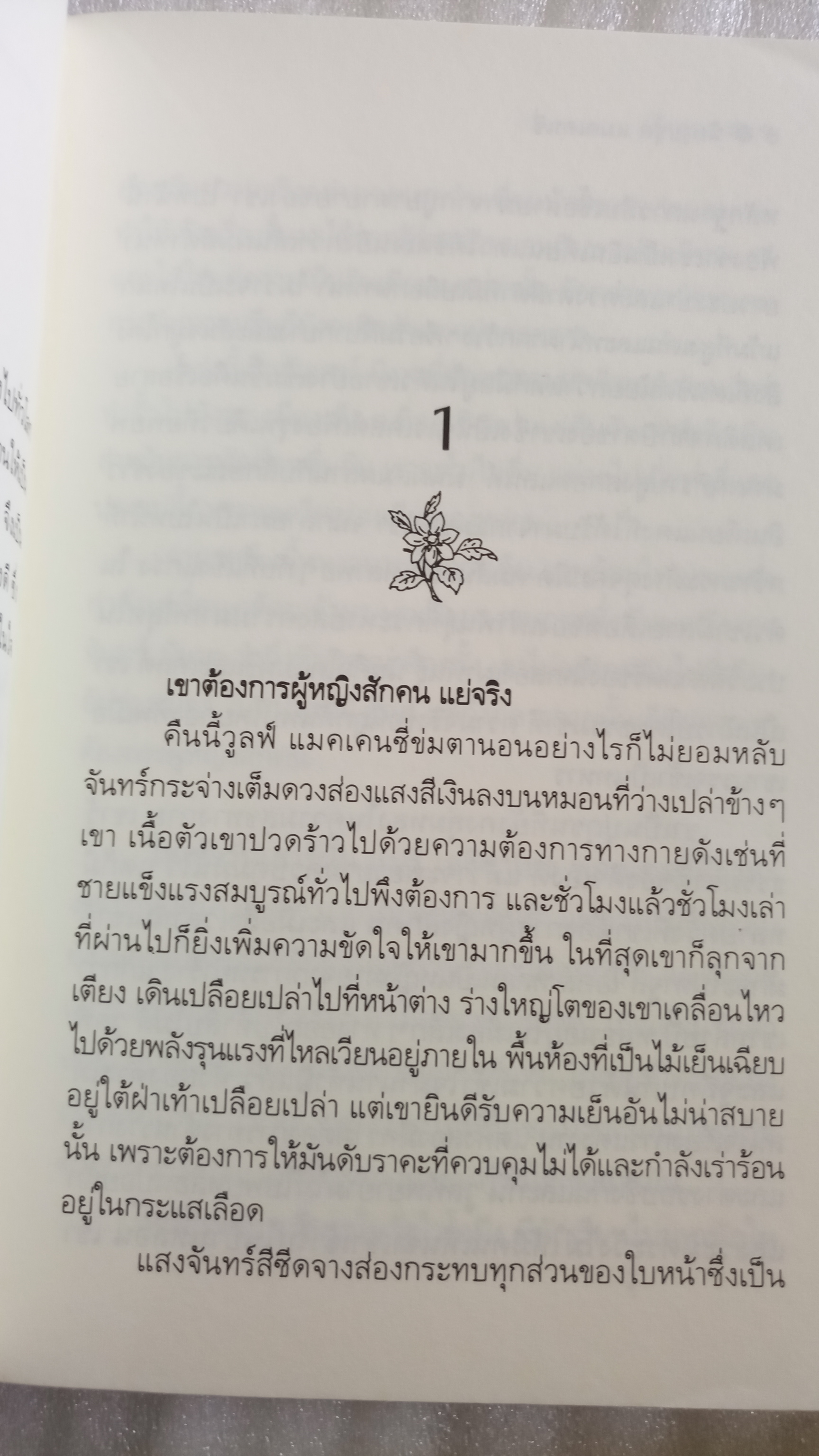 เจ้าภูผา Mackinzie's Mountain