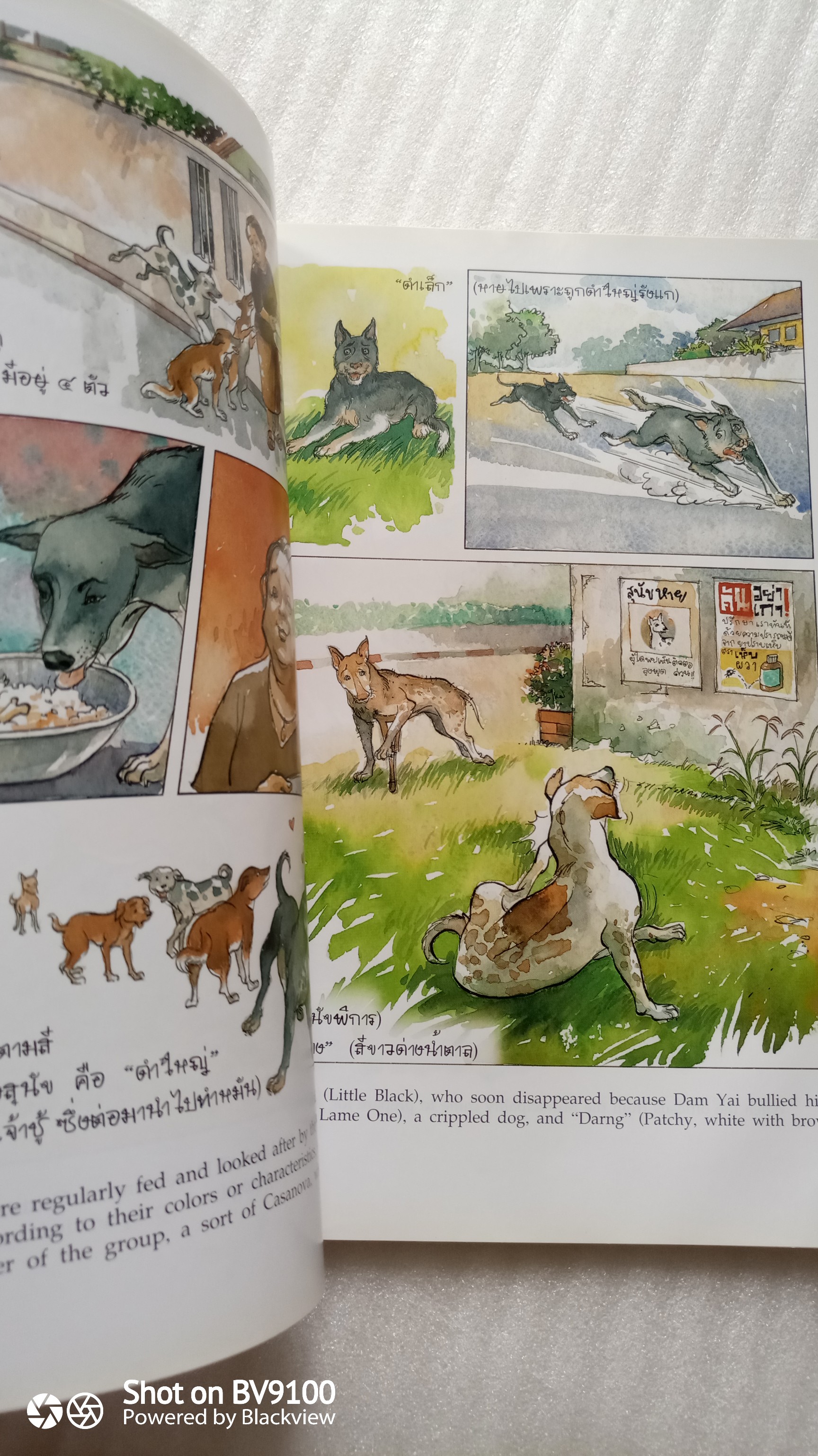 เรื่องทองแดง 2 เล่ม ปกอ่อน + ปกแข็ง