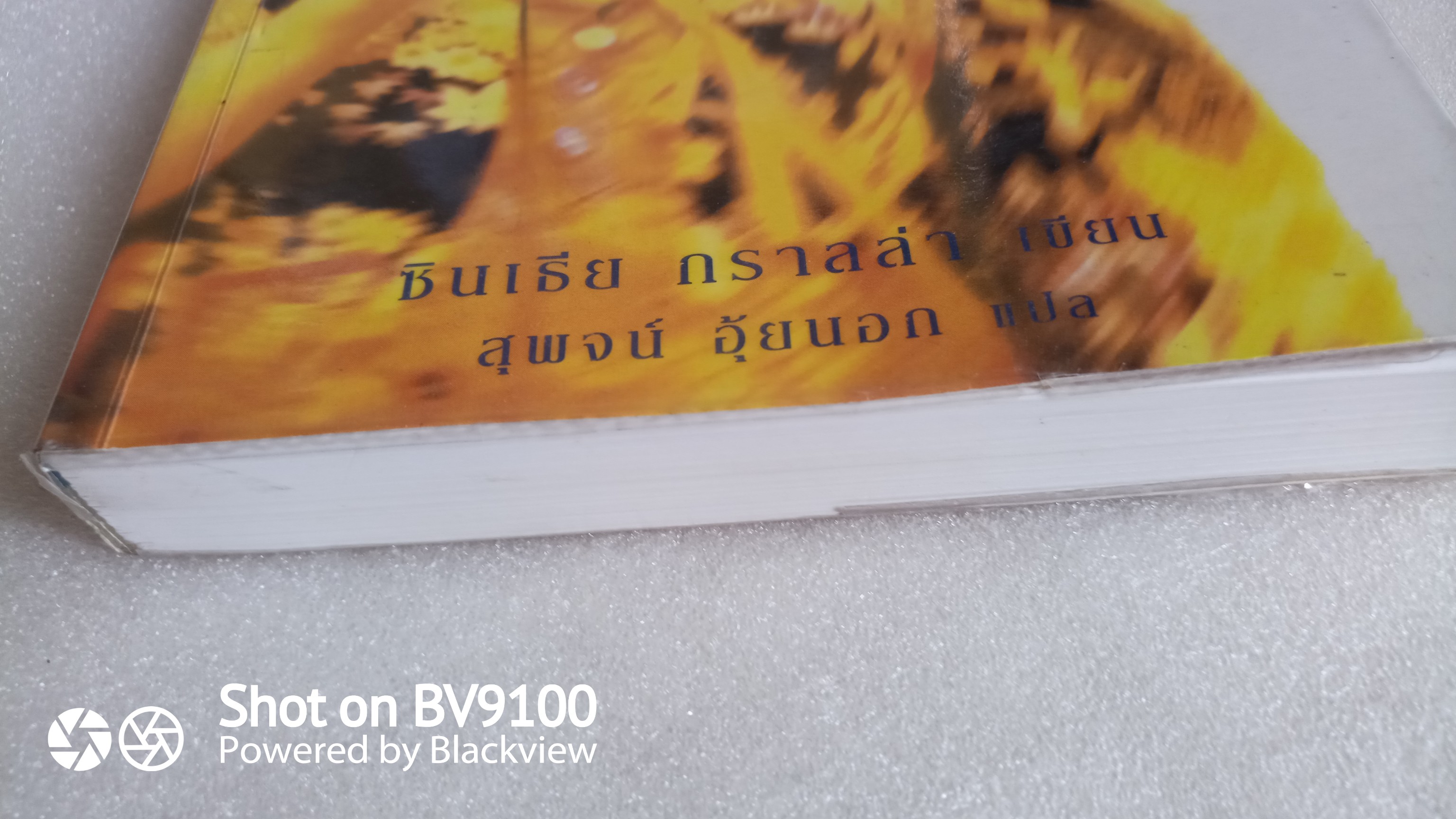 เปลือยเกอิชา / ซินเธีย กราลล่า