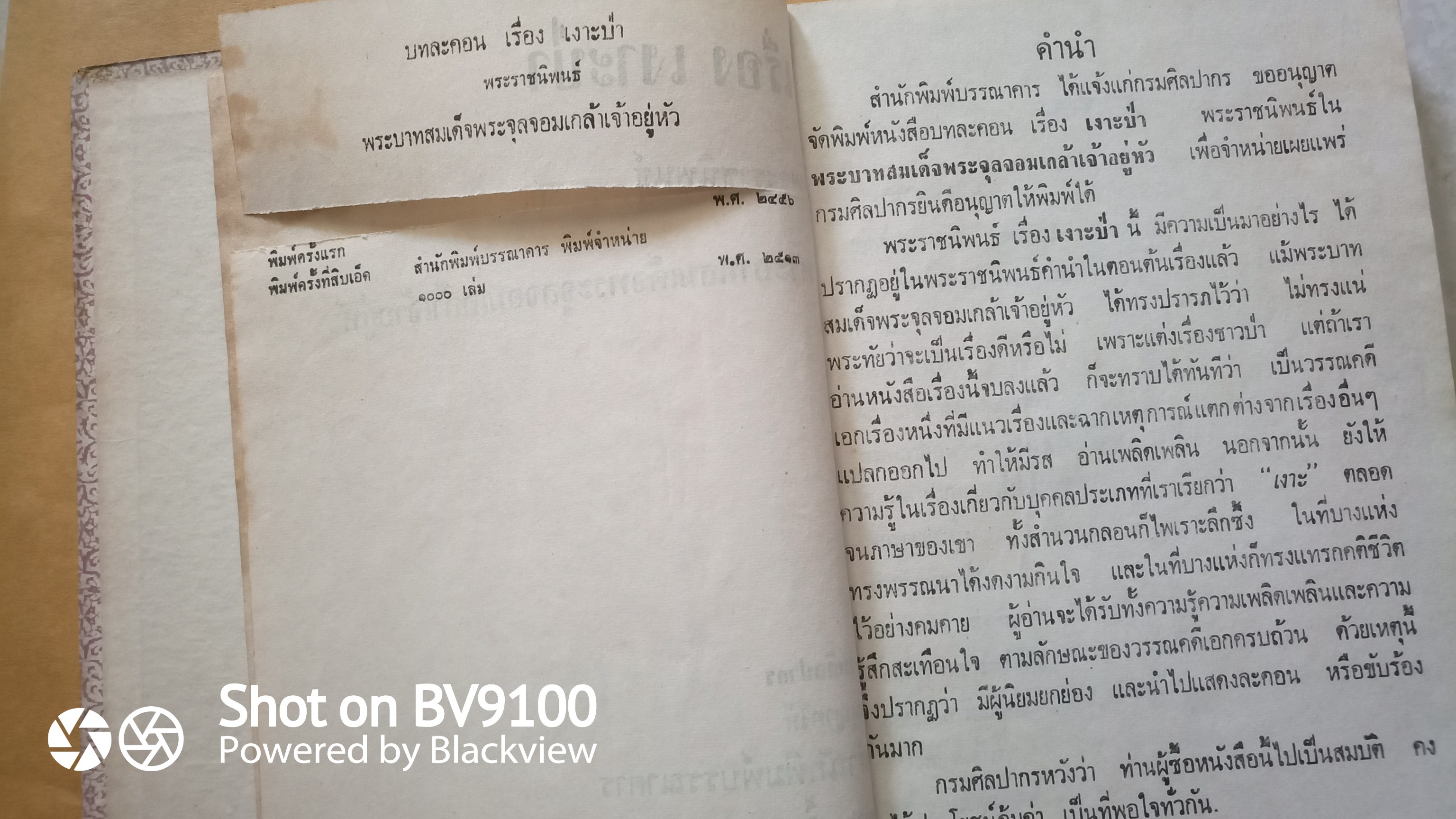 เงาะป่า