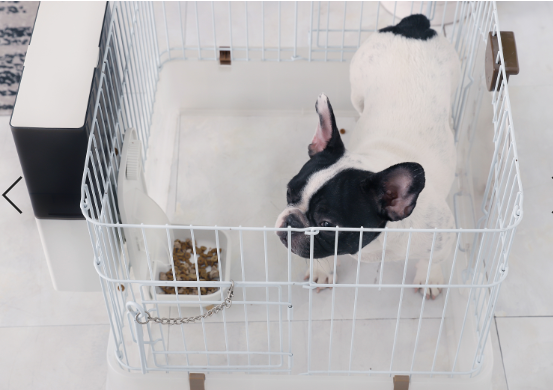 เครื่องให้อาหารแมวอัตโนมัติแบบติดข้างกรง PETWANT F4-LCD