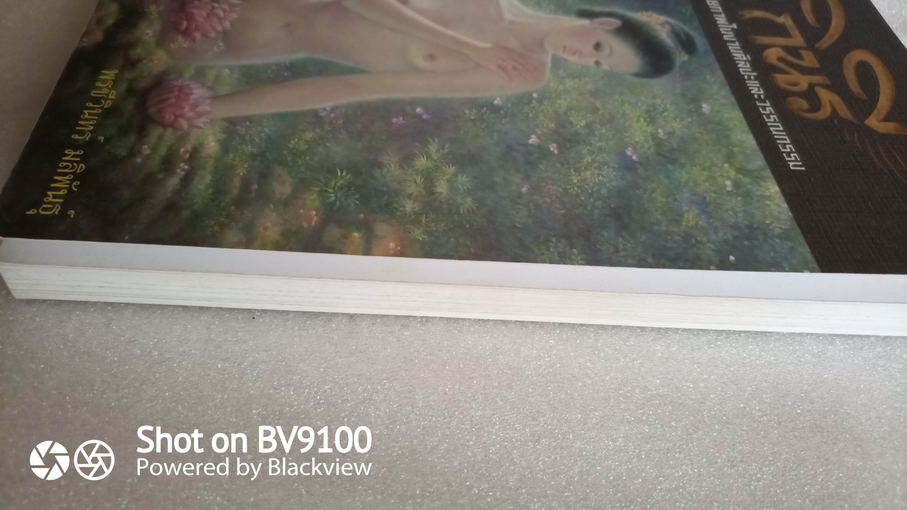 กินรี สุนทรียภาพในงานศิลปะและวรรณกรรม / พรชีวินทร์ มลิพันธุ์