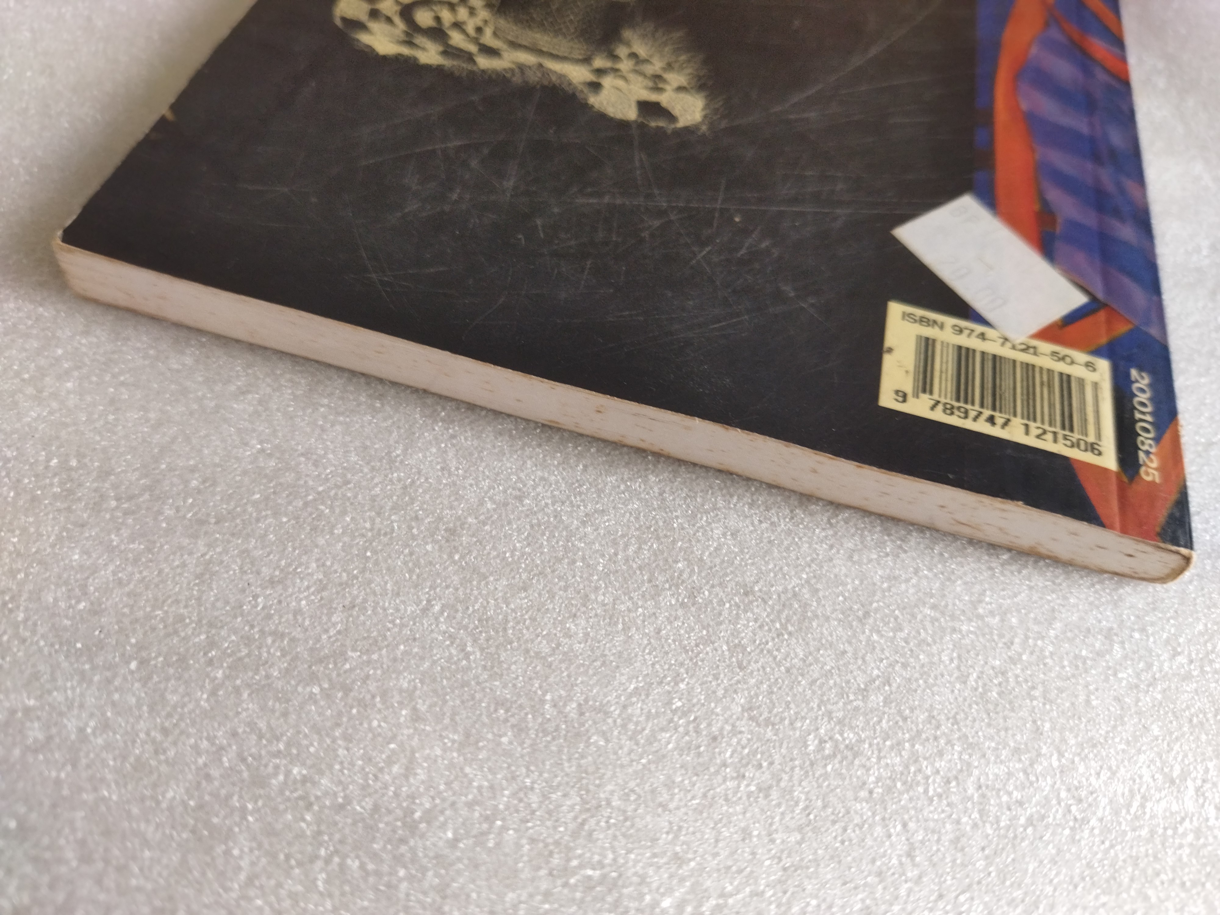 บ้านทุ่งไฮเทค / วีระ สุดสังข์