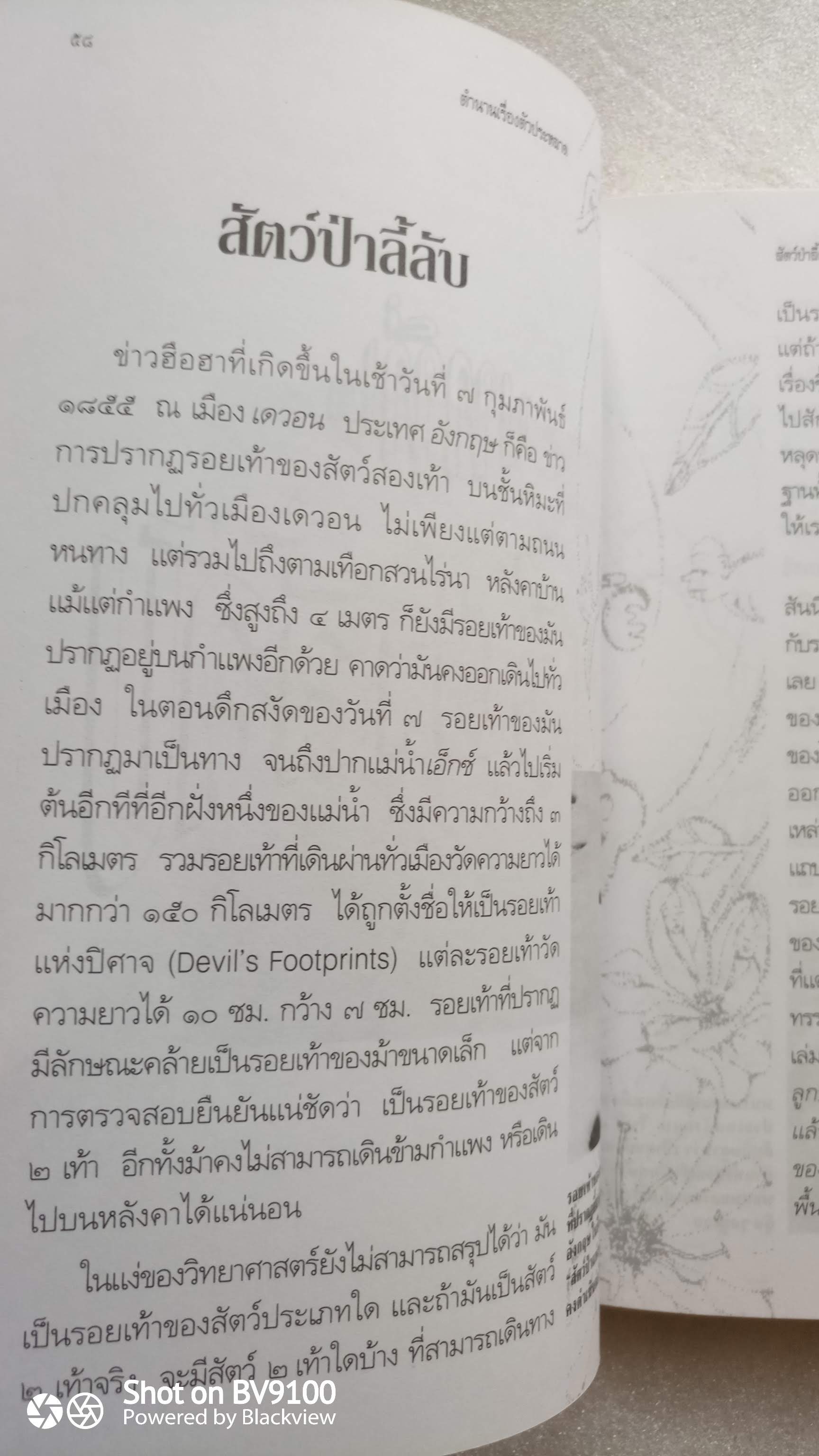 ตำนานเรื่องตัวประหลาด / บัวแก้ว ไชยหลวงผา