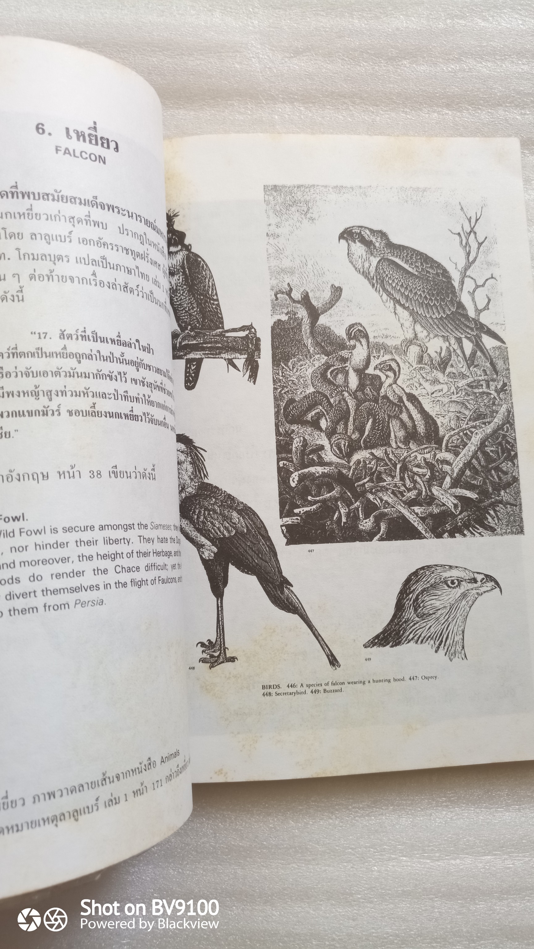 แรกมีในสยาม / อเนก นาวิกมูล