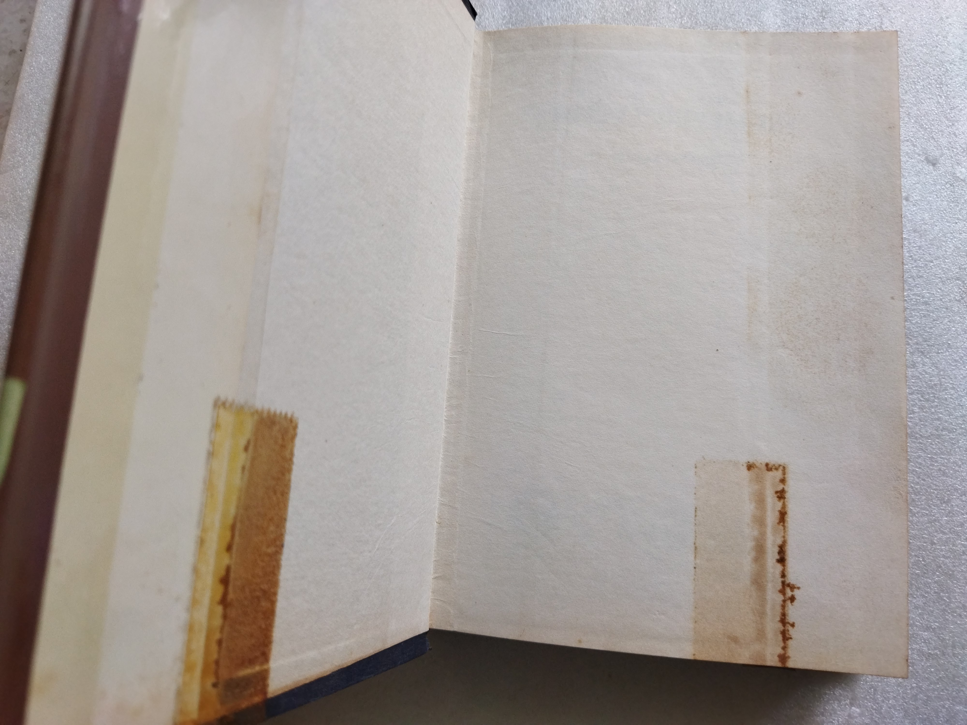 พ่อม่ายทีเด็ด / กนกเรขา