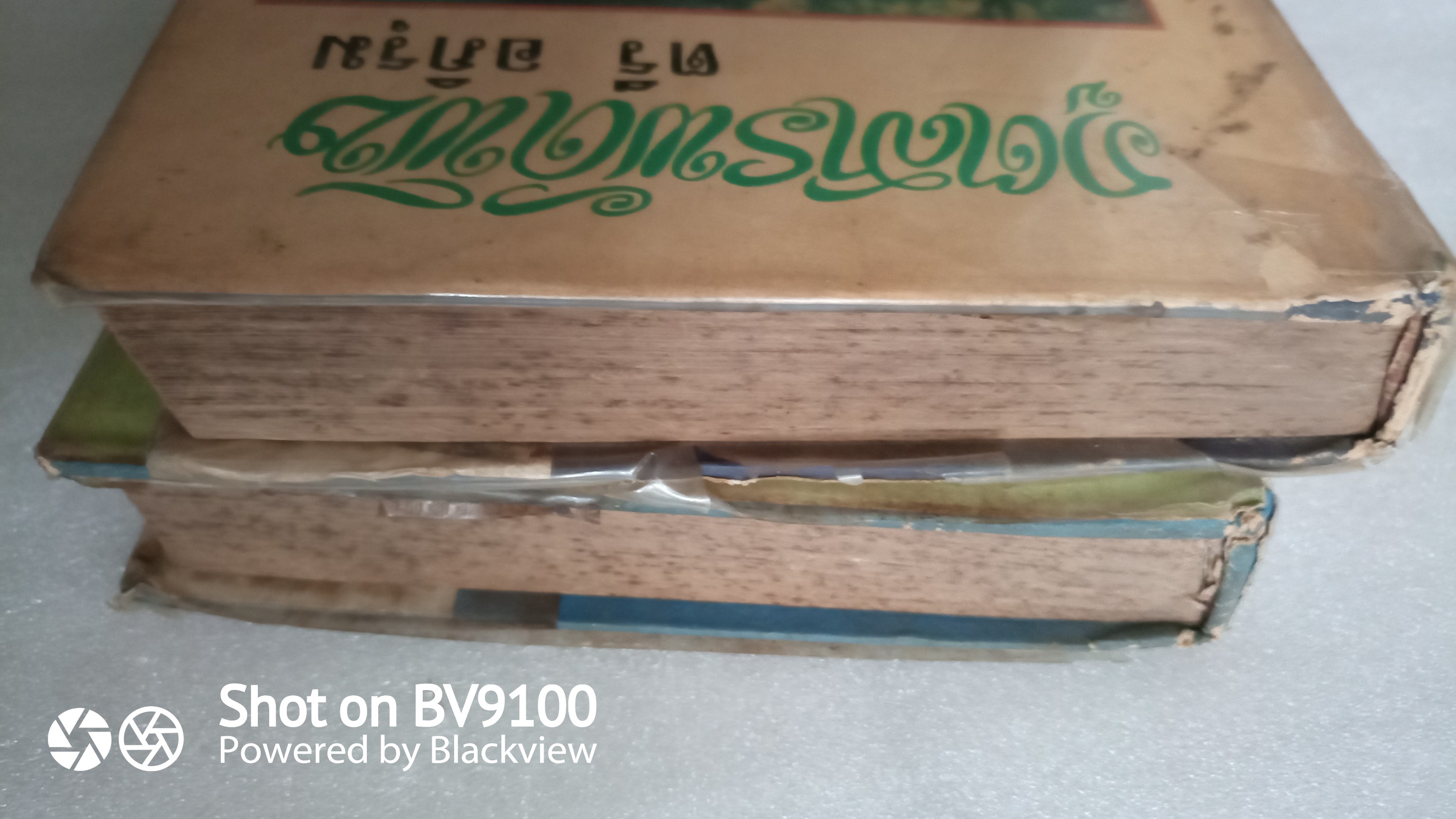 ภูติสารพัดพิษ / ตรี อภิรุม