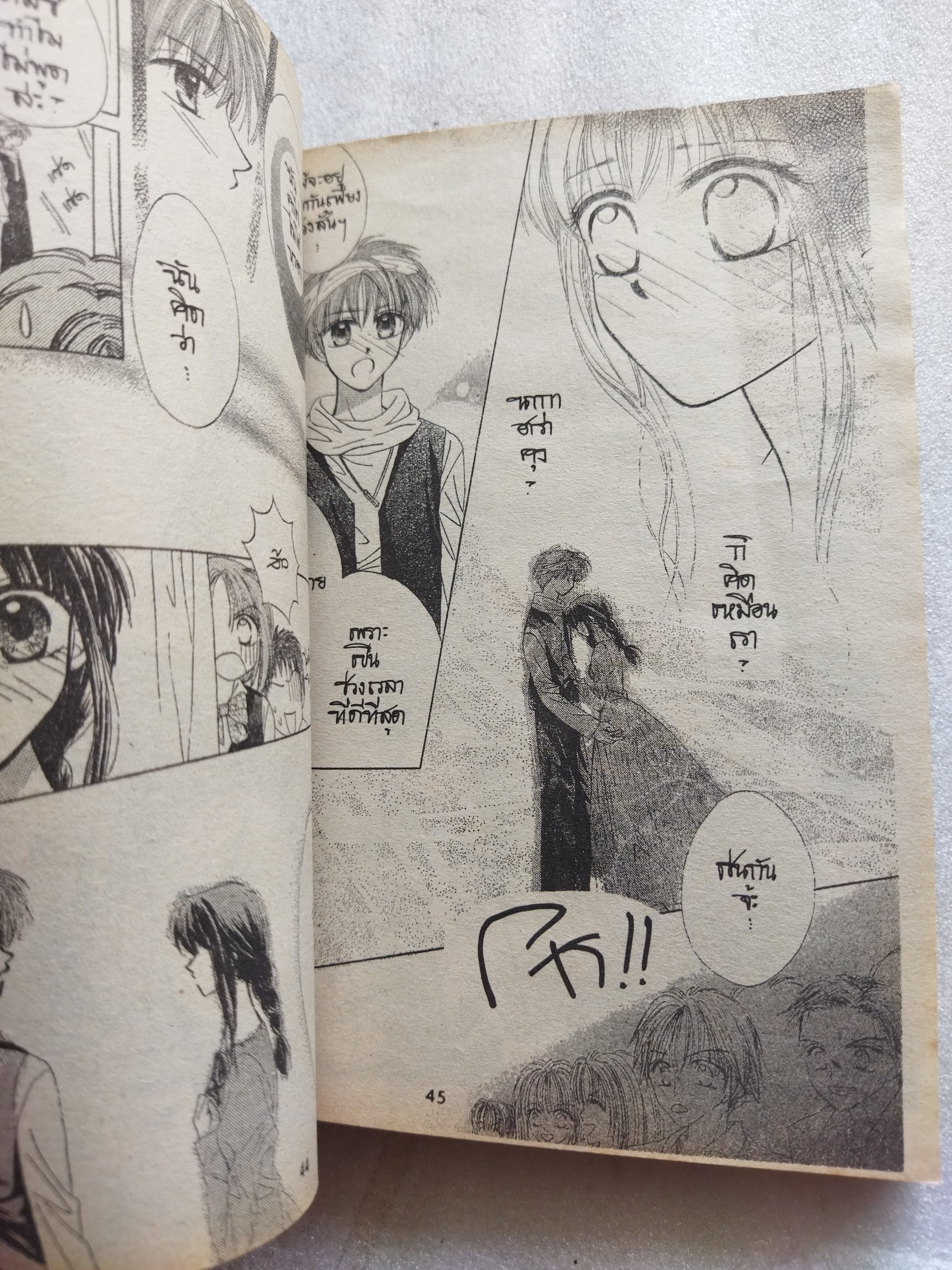 สกั๊งค์ สีหวานเย็น