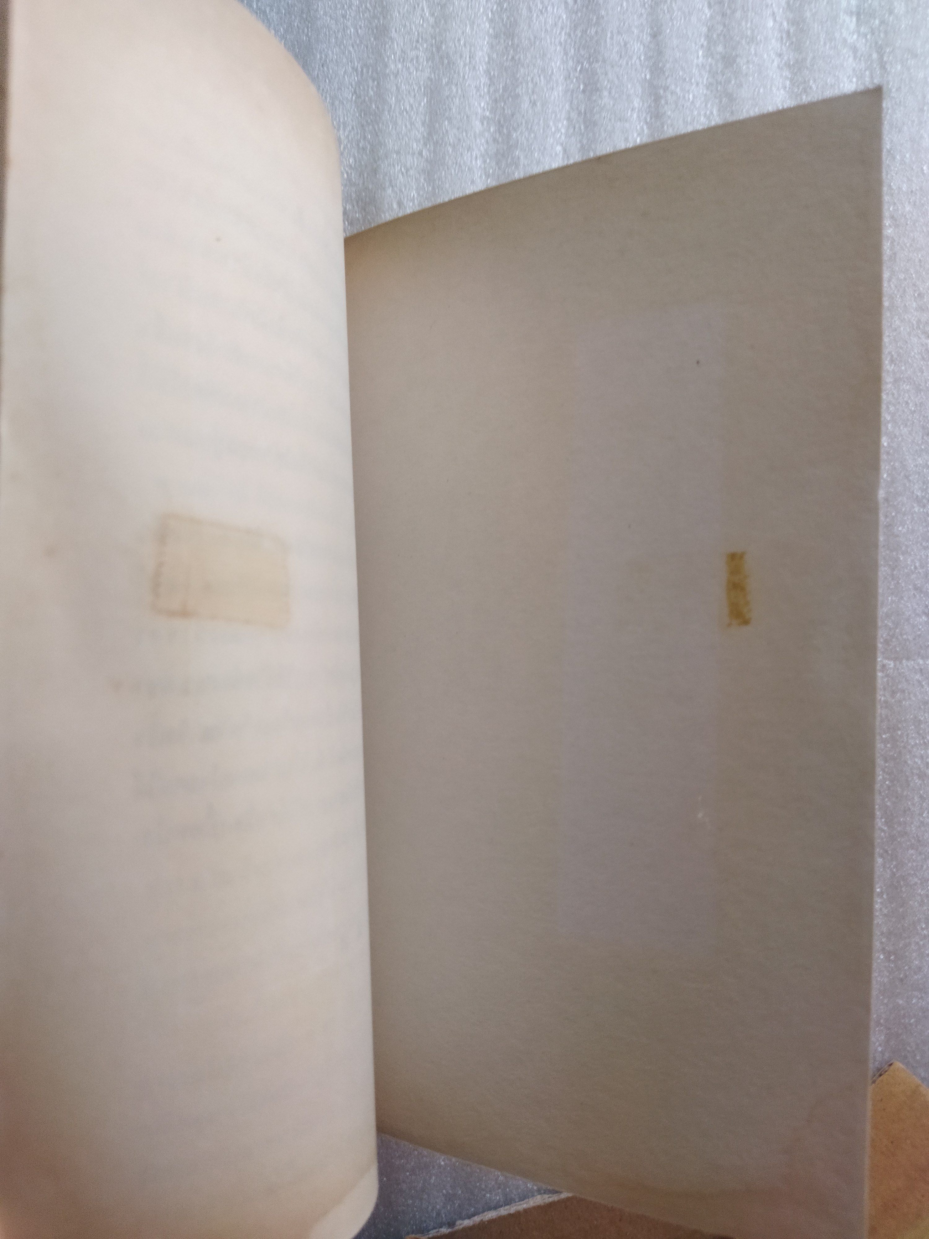 ยาย / ขจรฤทธิ์ รักษา