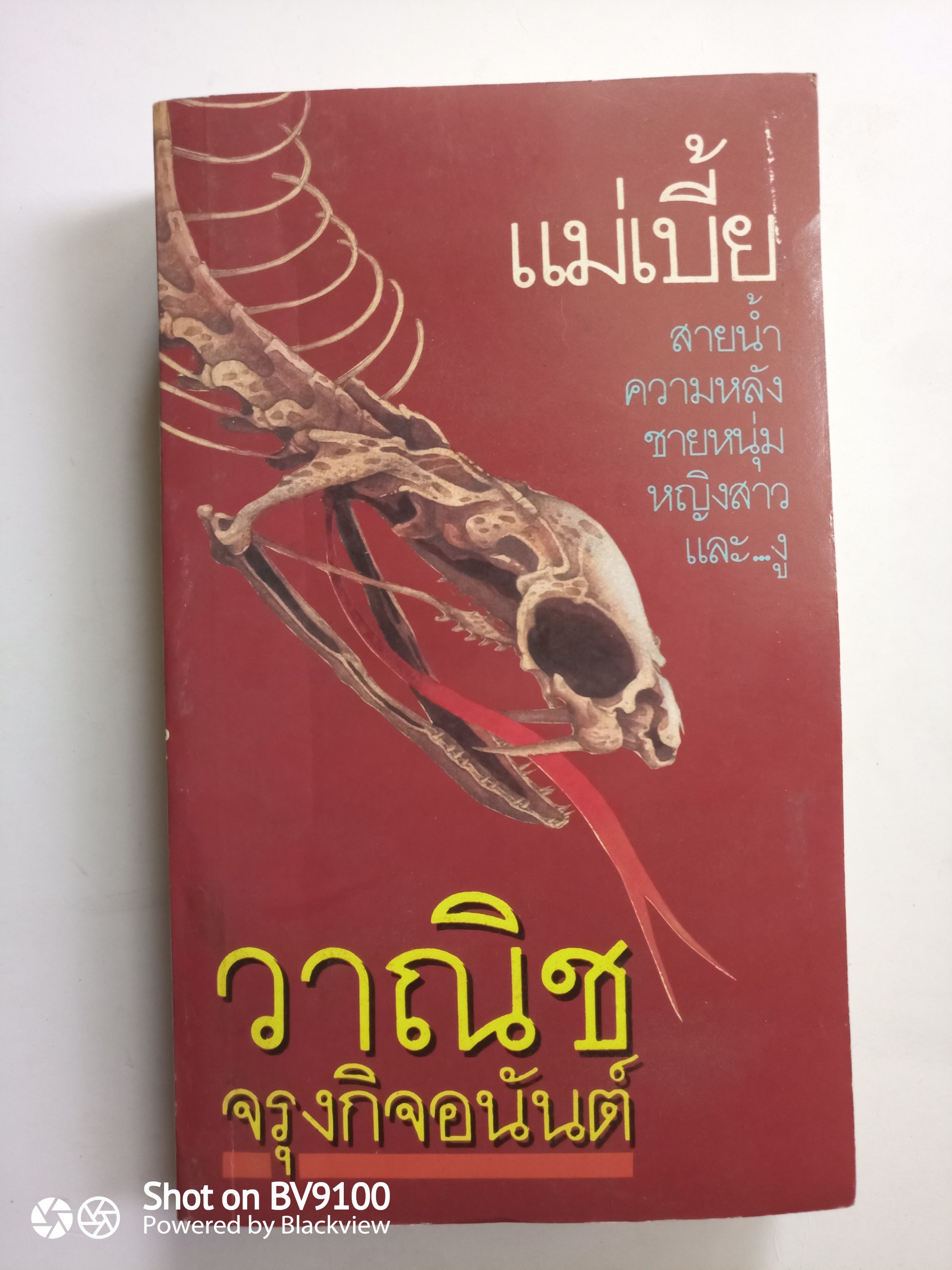 แม่เบี้ย