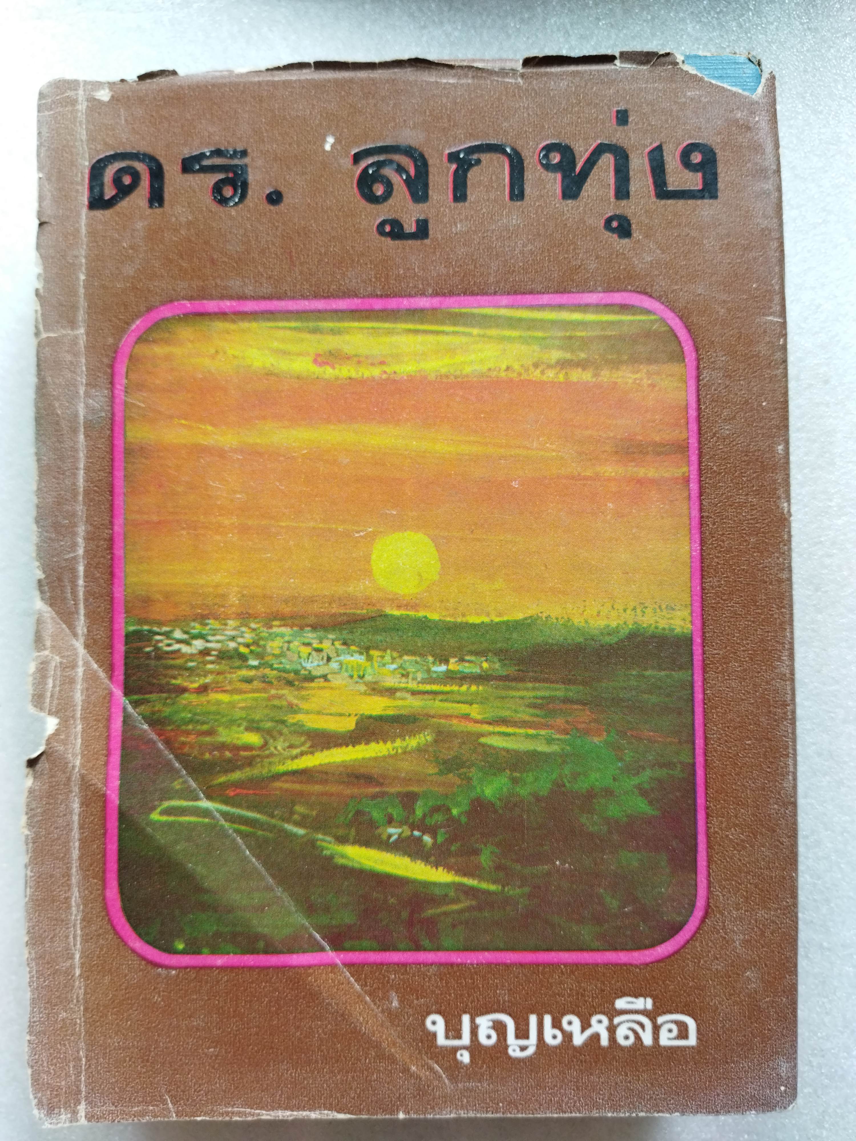 ดร.ลูกทุ่ง / บุญเหลือ *ตำหนิ