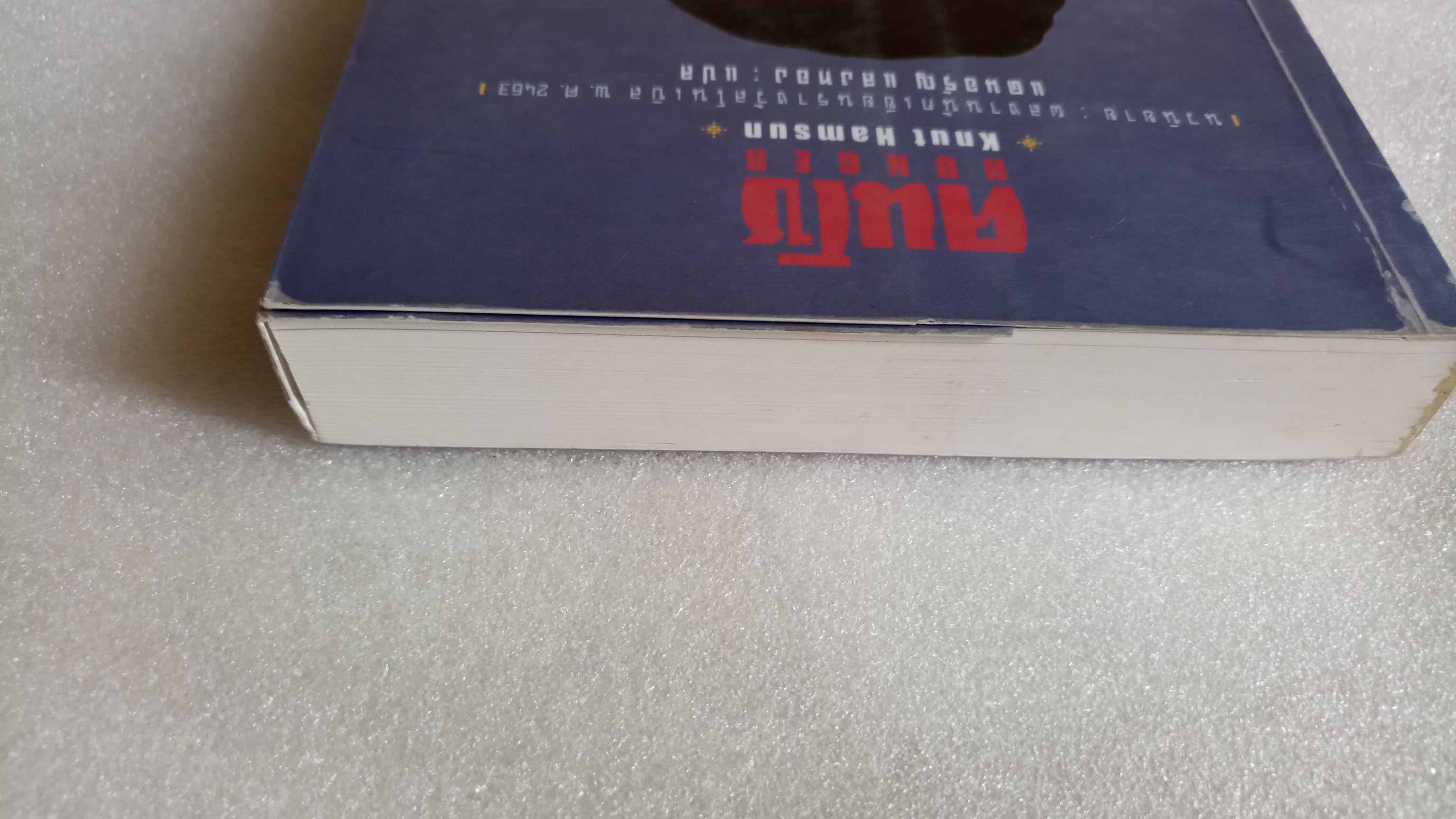 คนโซ (Hunger) / คนุท แฮมซุน