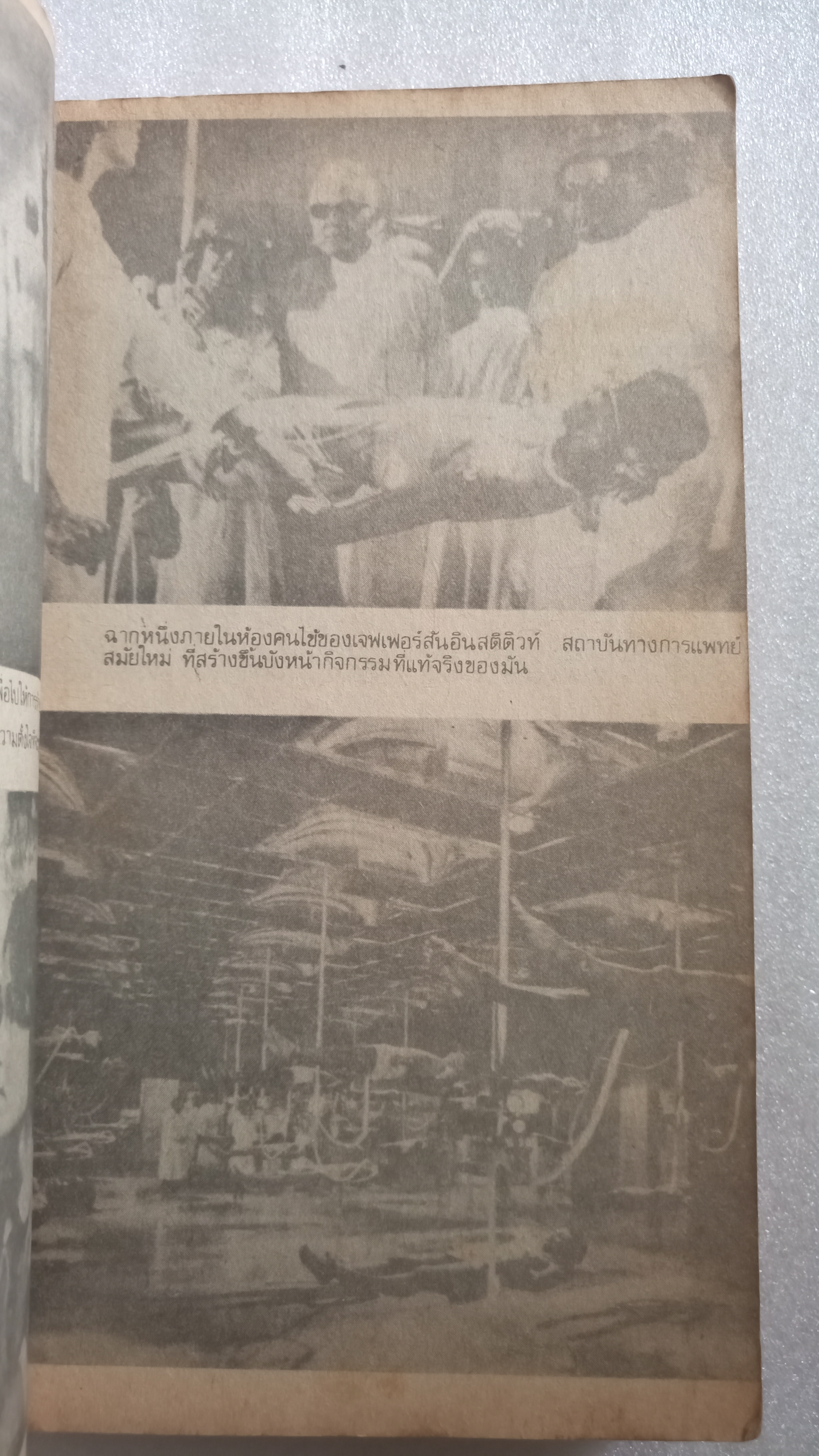 โคม่า / โรบิน คุ๊ก