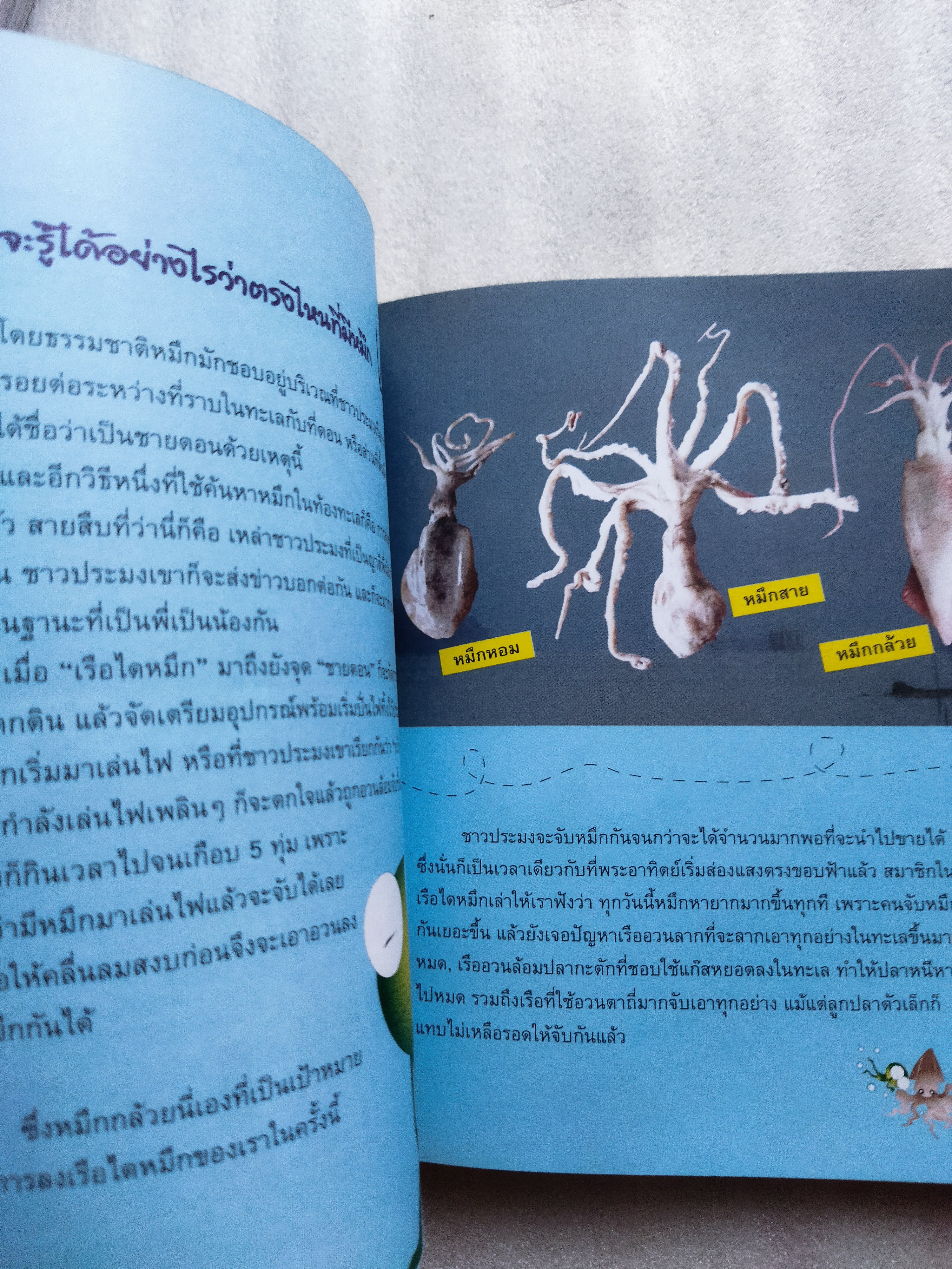 ความรู้นอกกะลา 1 (ป.ปลา)