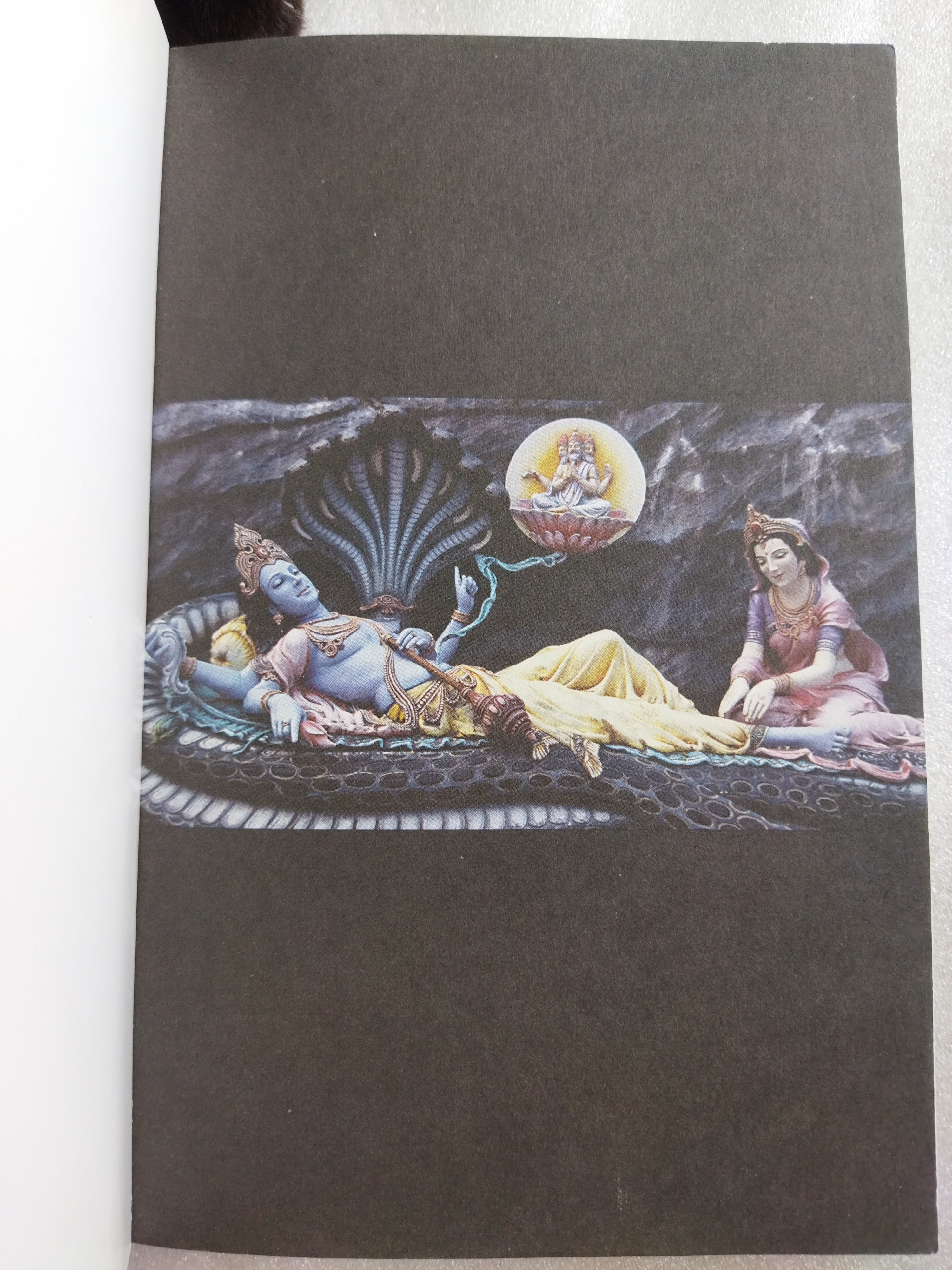 สะพายกล้องท่องโลก อินเดีย / จิรชนม์ ฉ่ำแสง