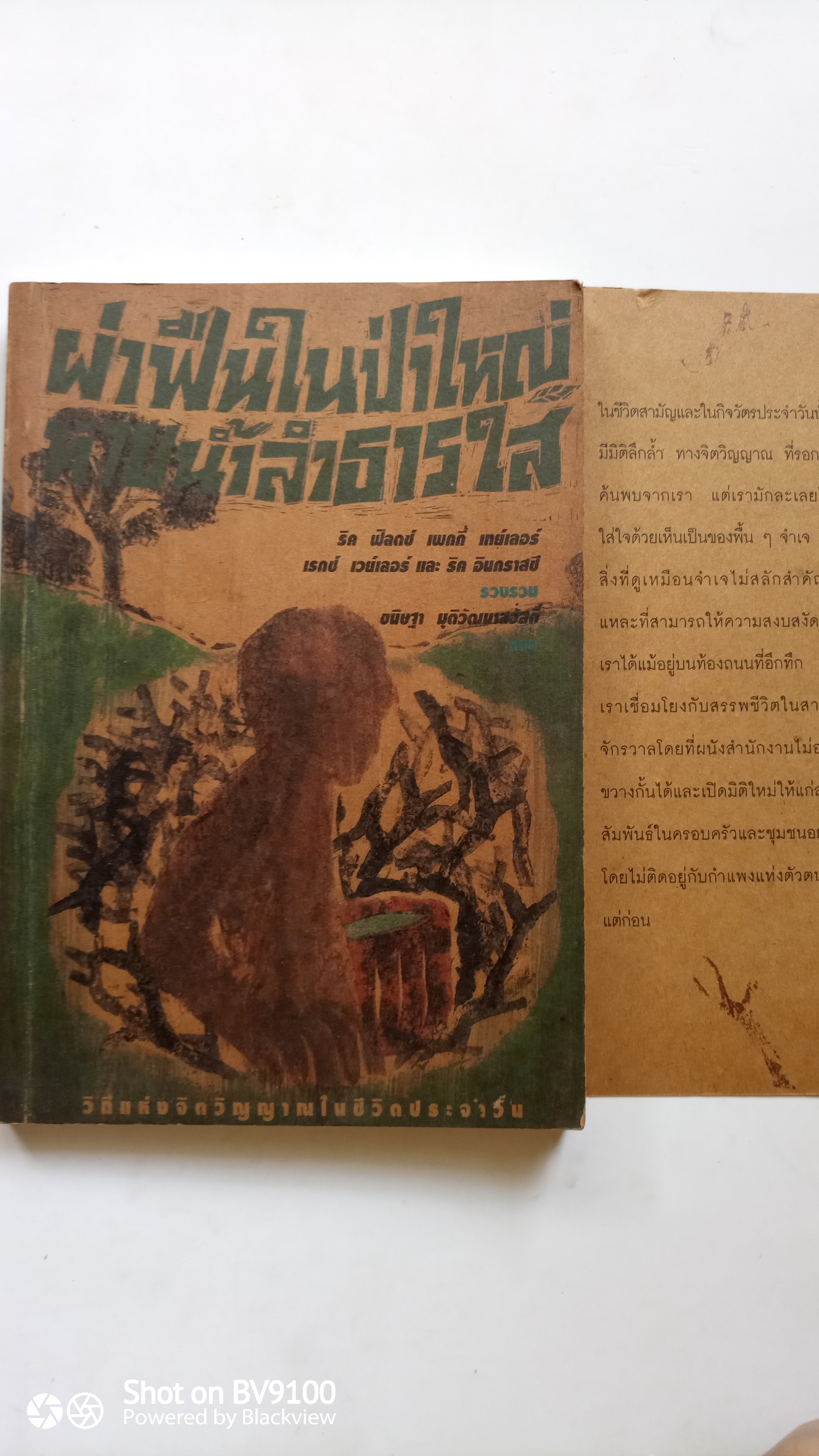 ผ่าฝืนในป่าใหญ่ หาบน้ำลำธารใส