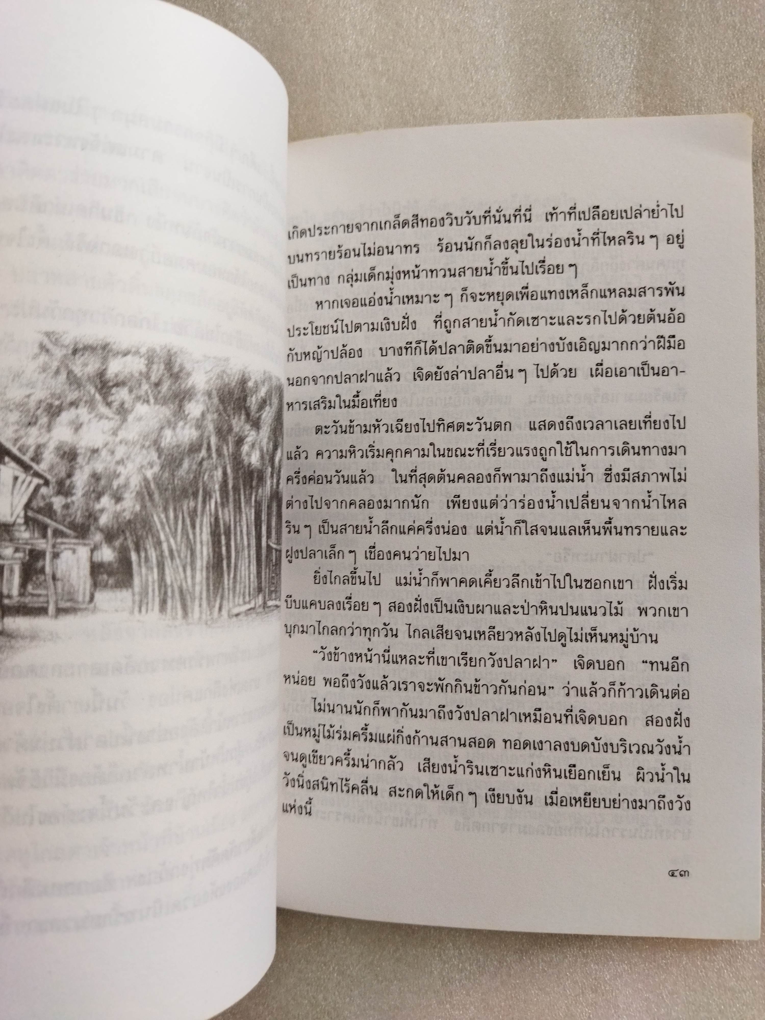 ทุ่งสลับสี / อโศก ศรีสุวรรณ