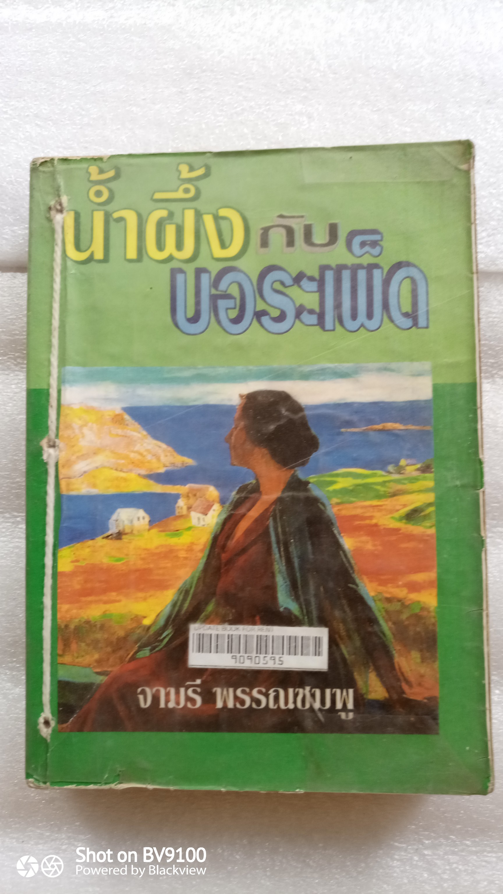 น้ำผึ้งกับบอระเพ็ด / จามรี พรรณชมพู