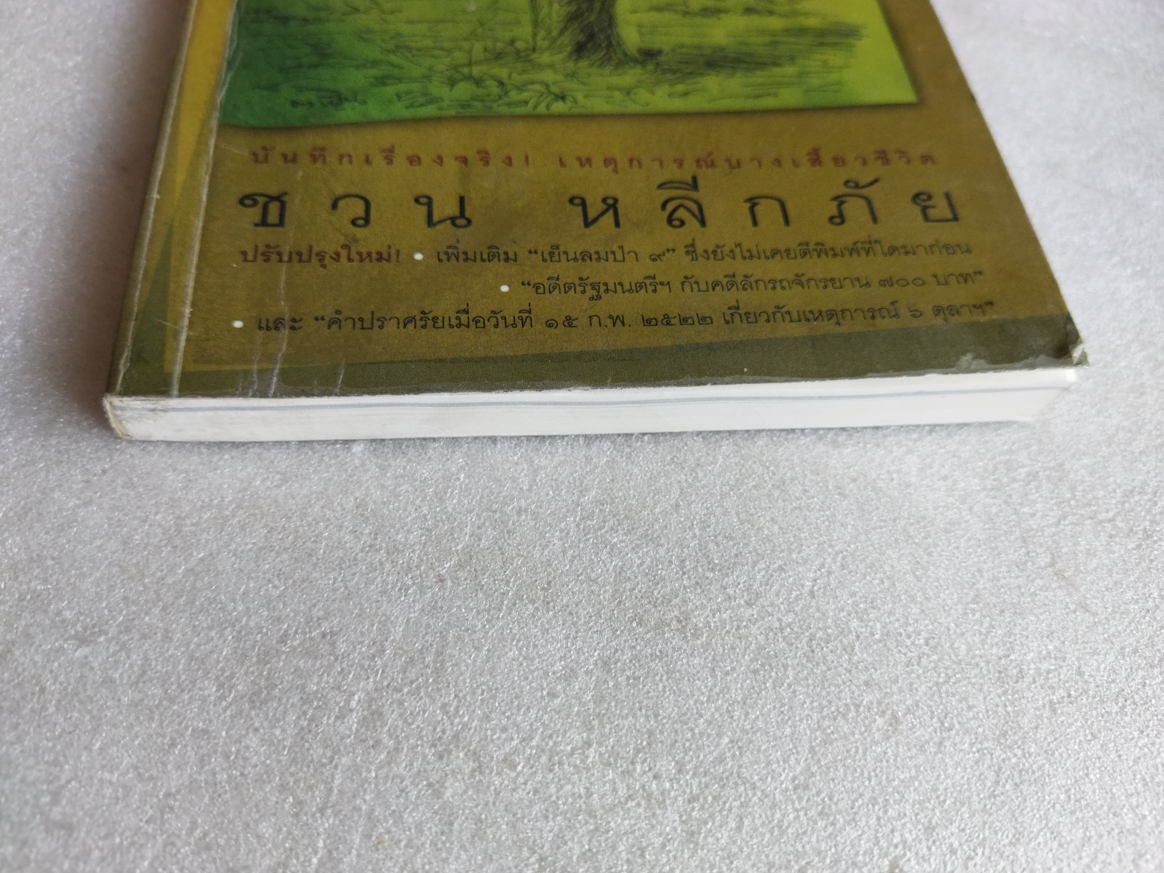 เย็นลมป่า / ชวน หลีกภัย